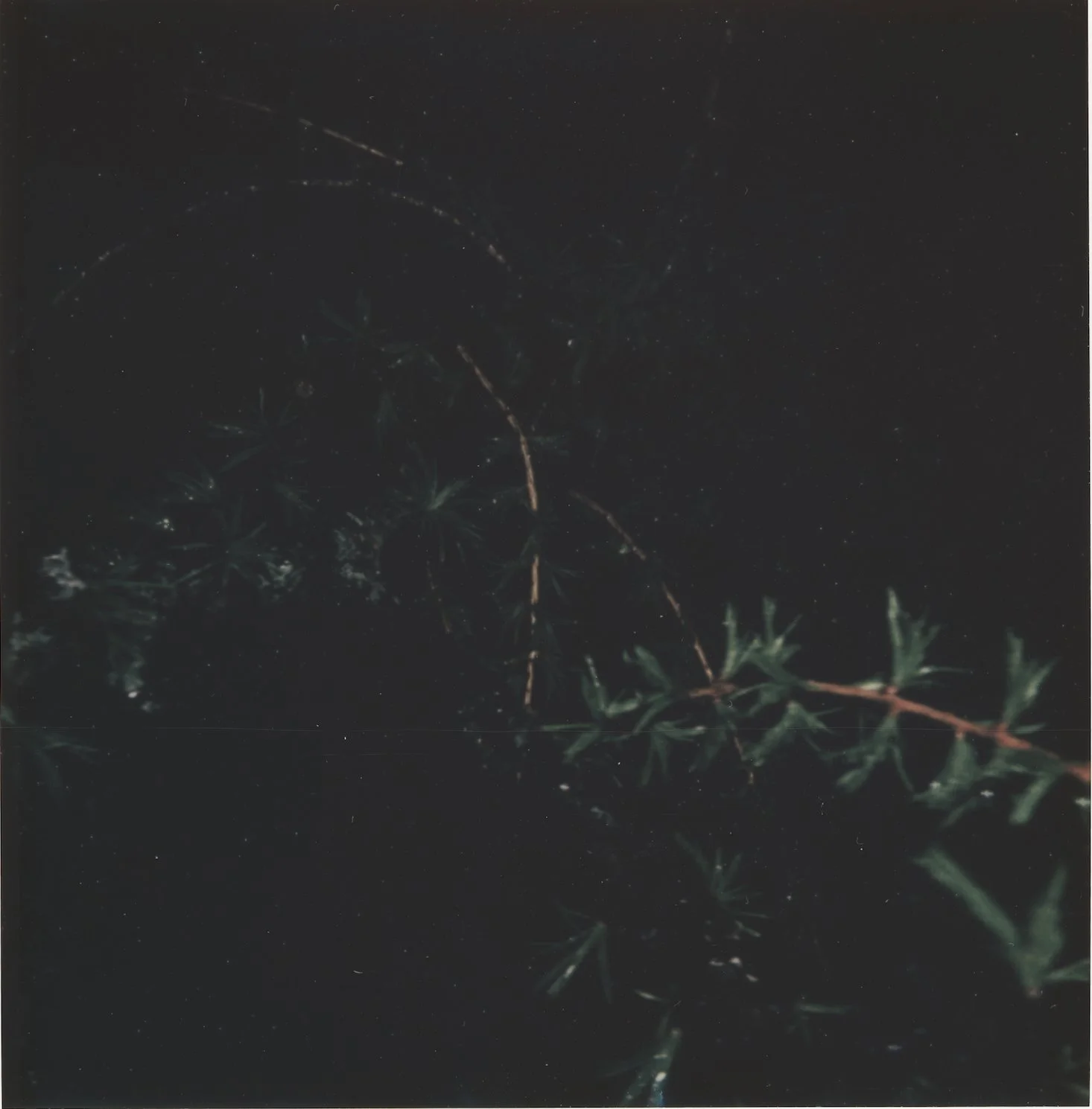 Untitled3.jpg