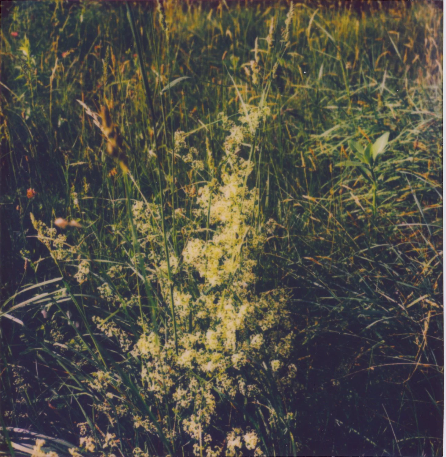 Untitled14.jpg