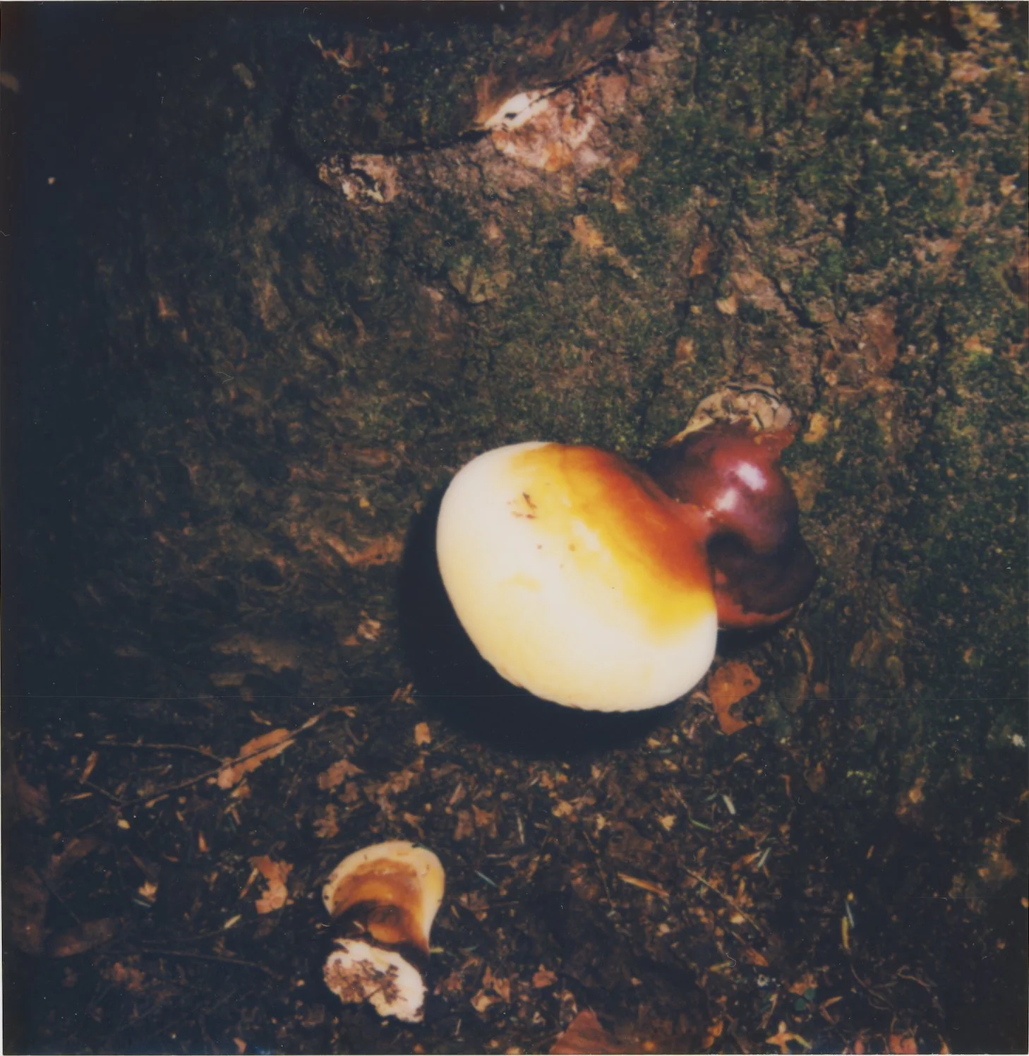 Untitled17.jpg