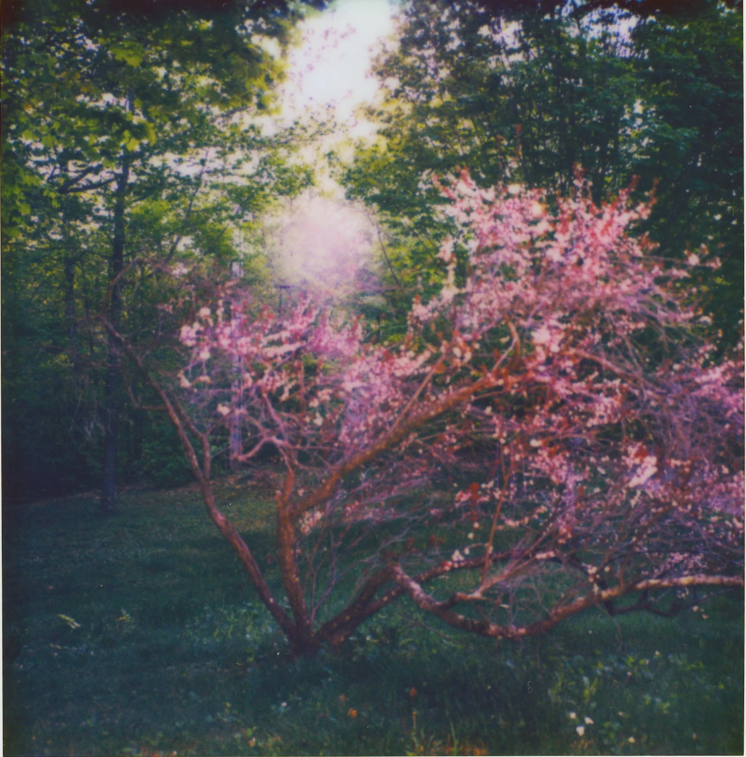 Untitled8.jpg