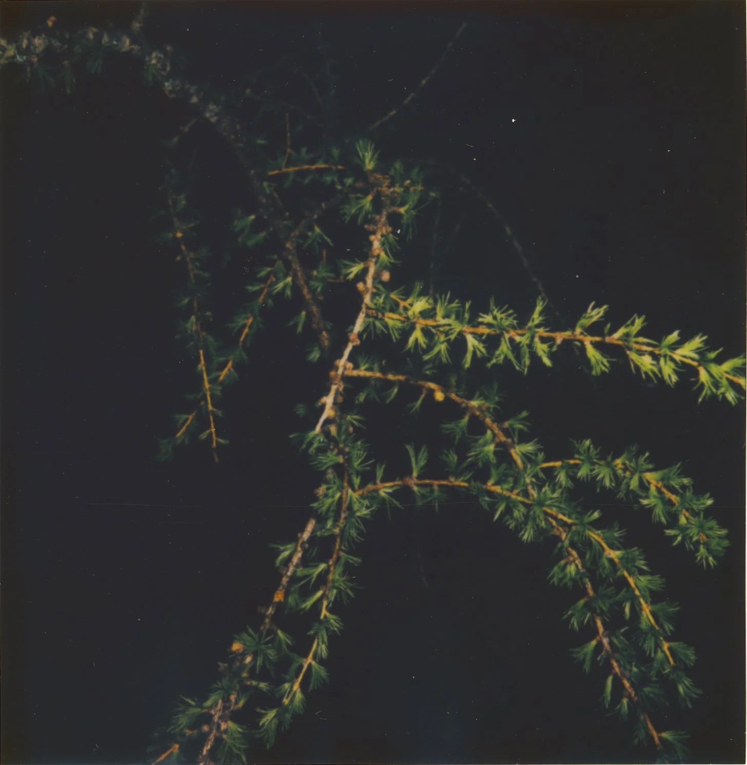 Untitled19.jpg