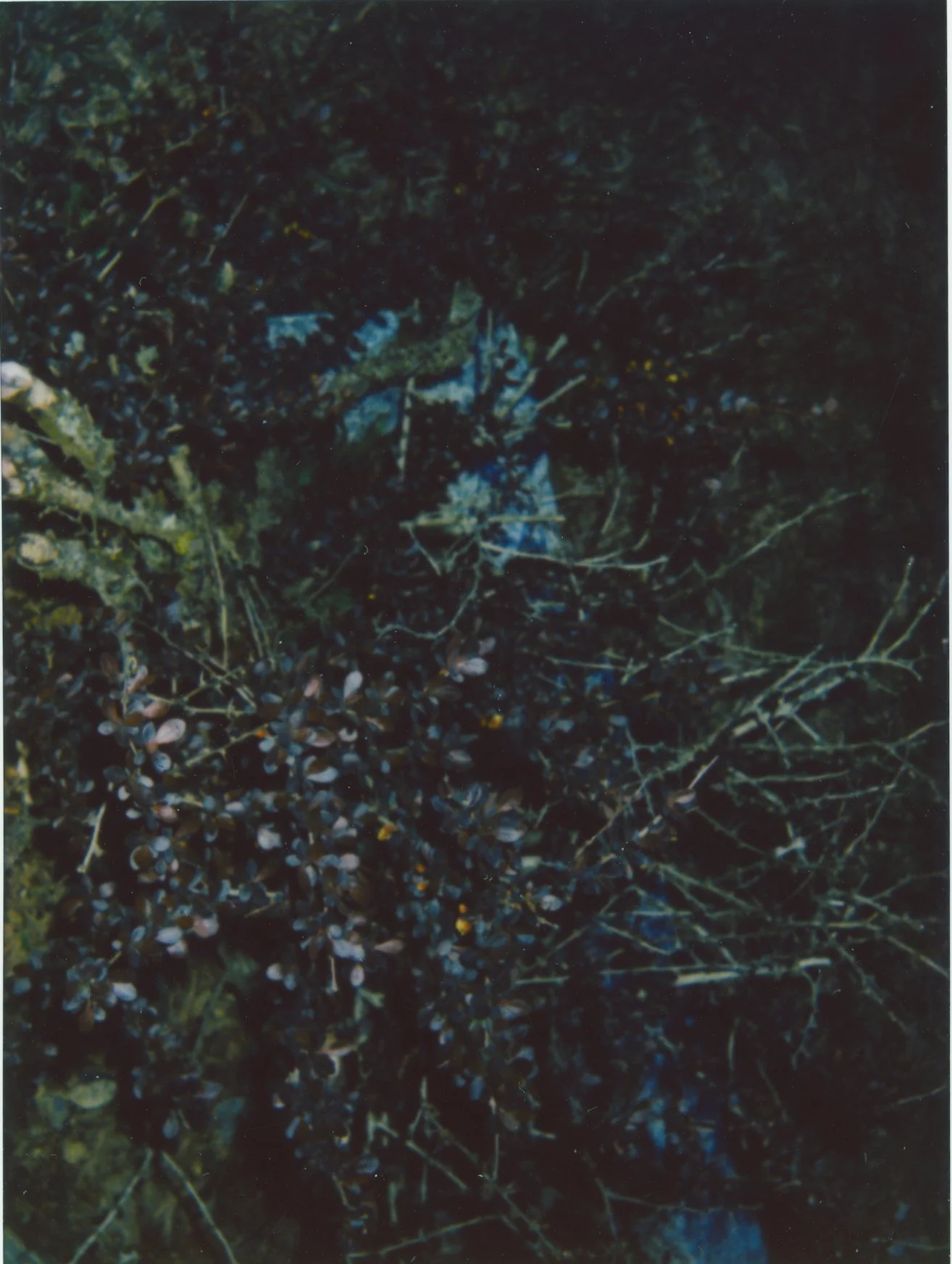 Untitled22.jpg