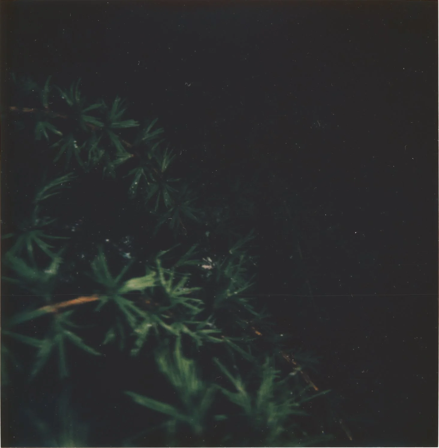 Untitled4.jpg