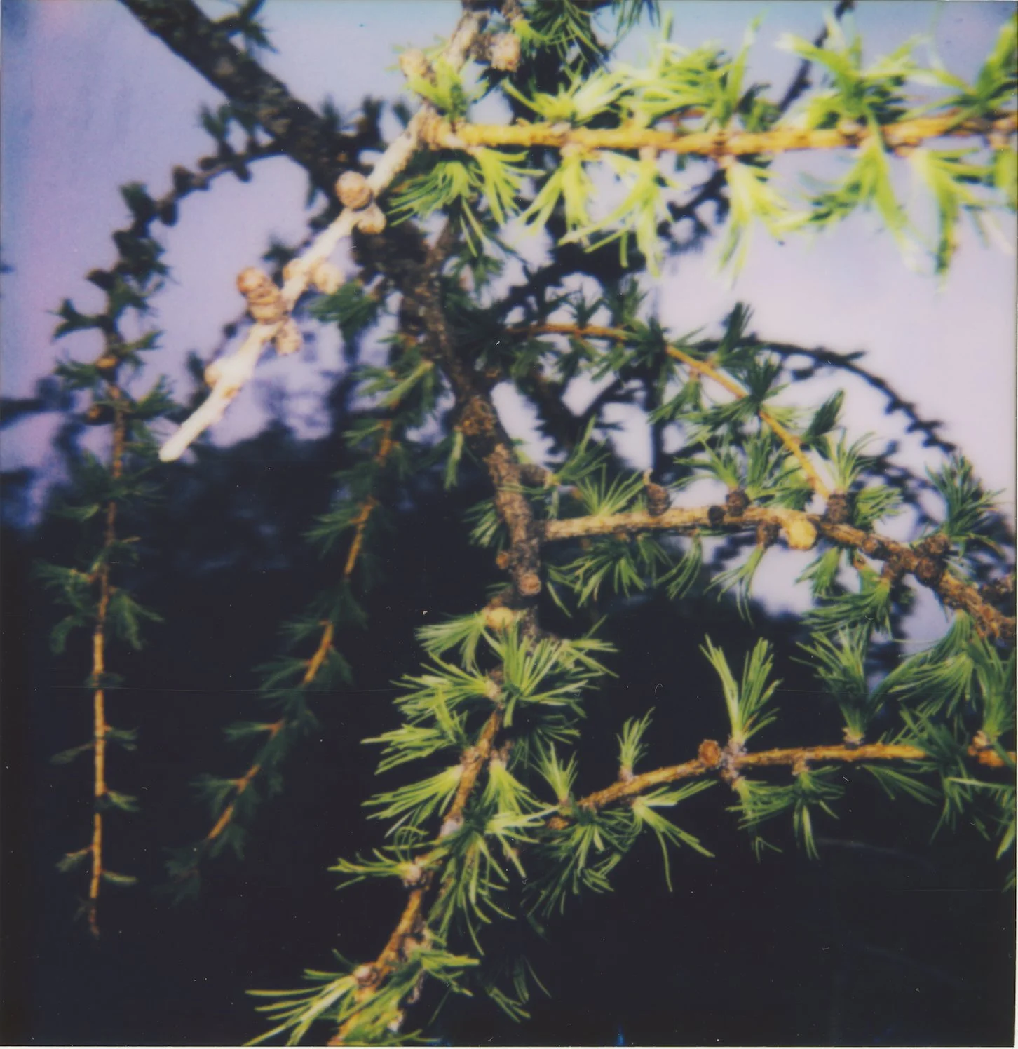 Untitled20.jpg