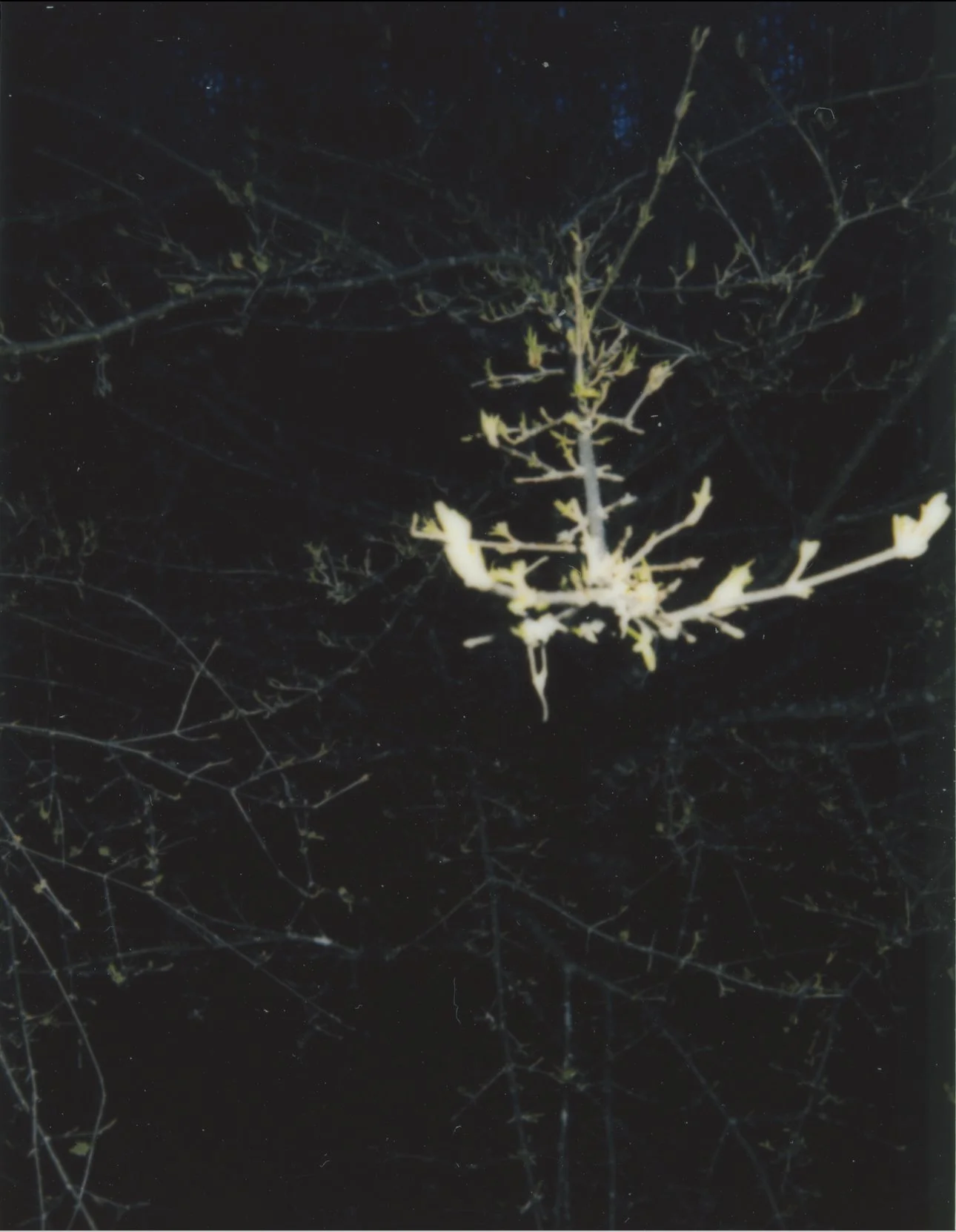 Untitled28.jpg