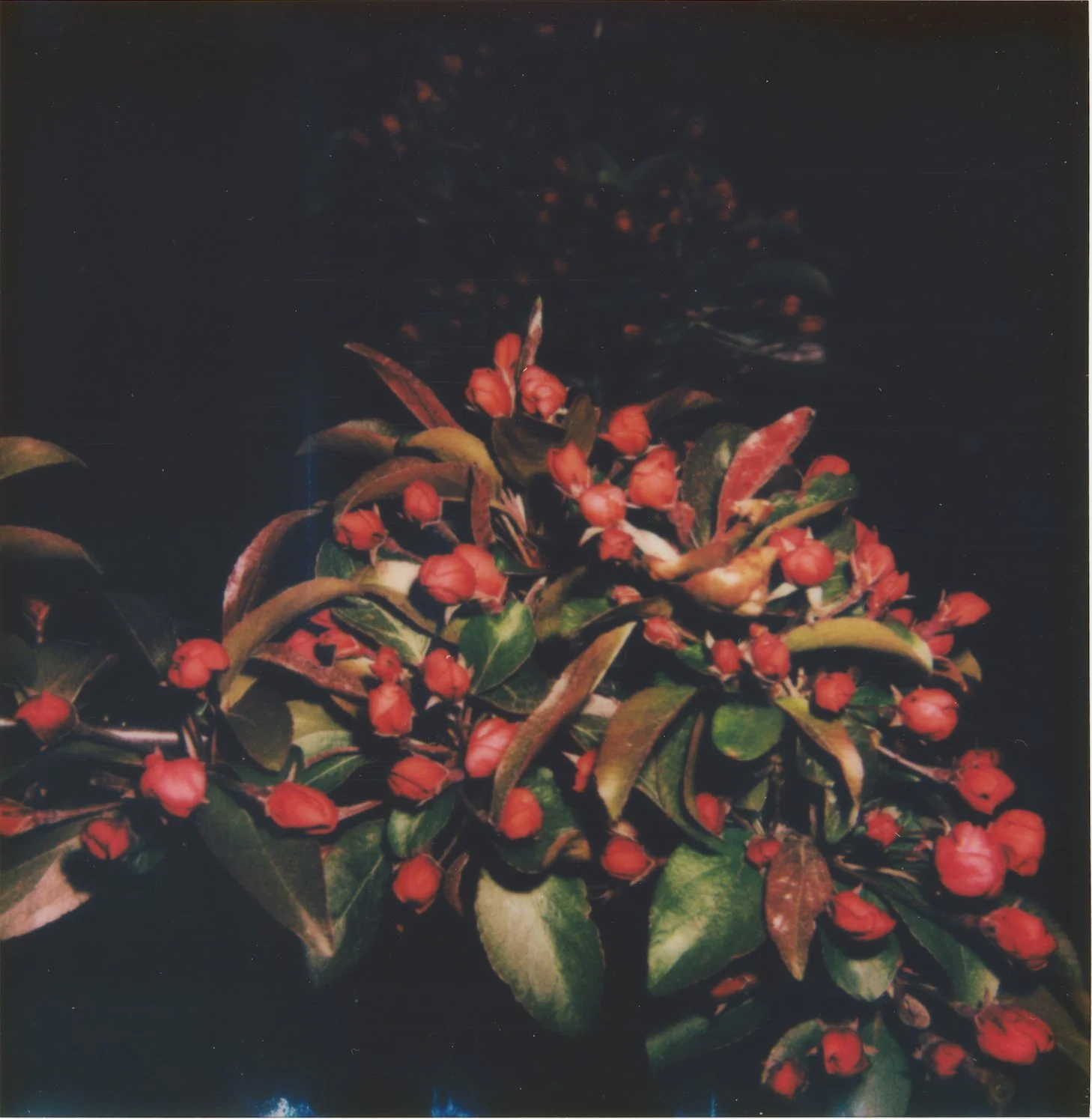 Untitled5.jpg