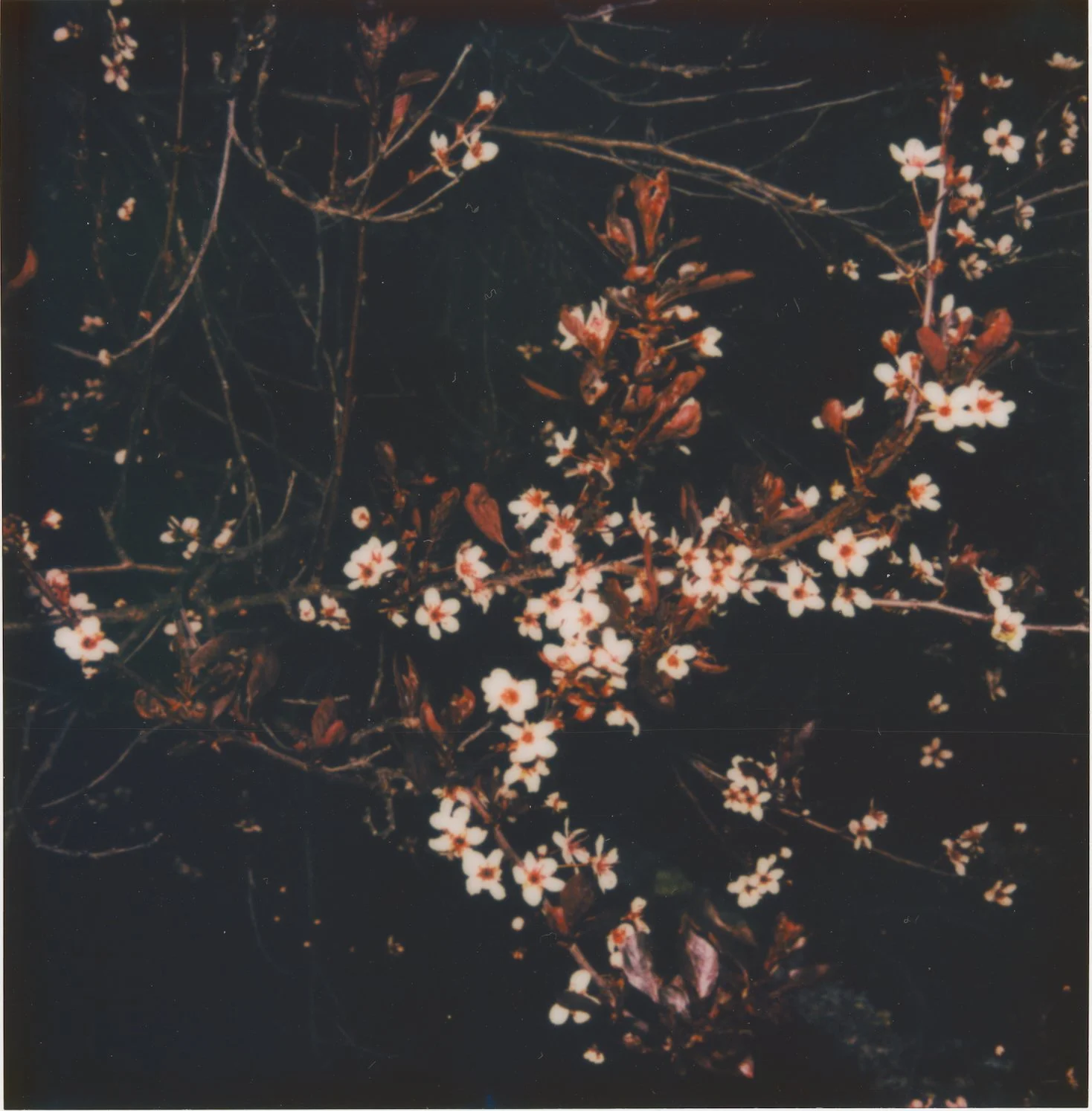 Untitled6.jpg