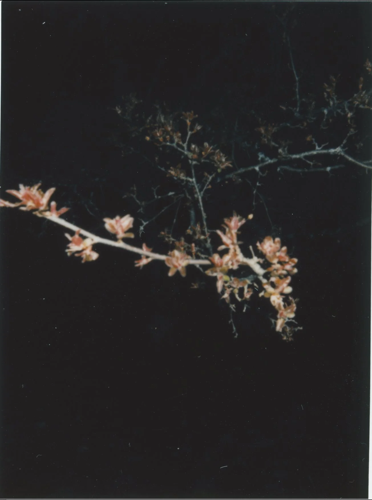 Untitled29.jpg