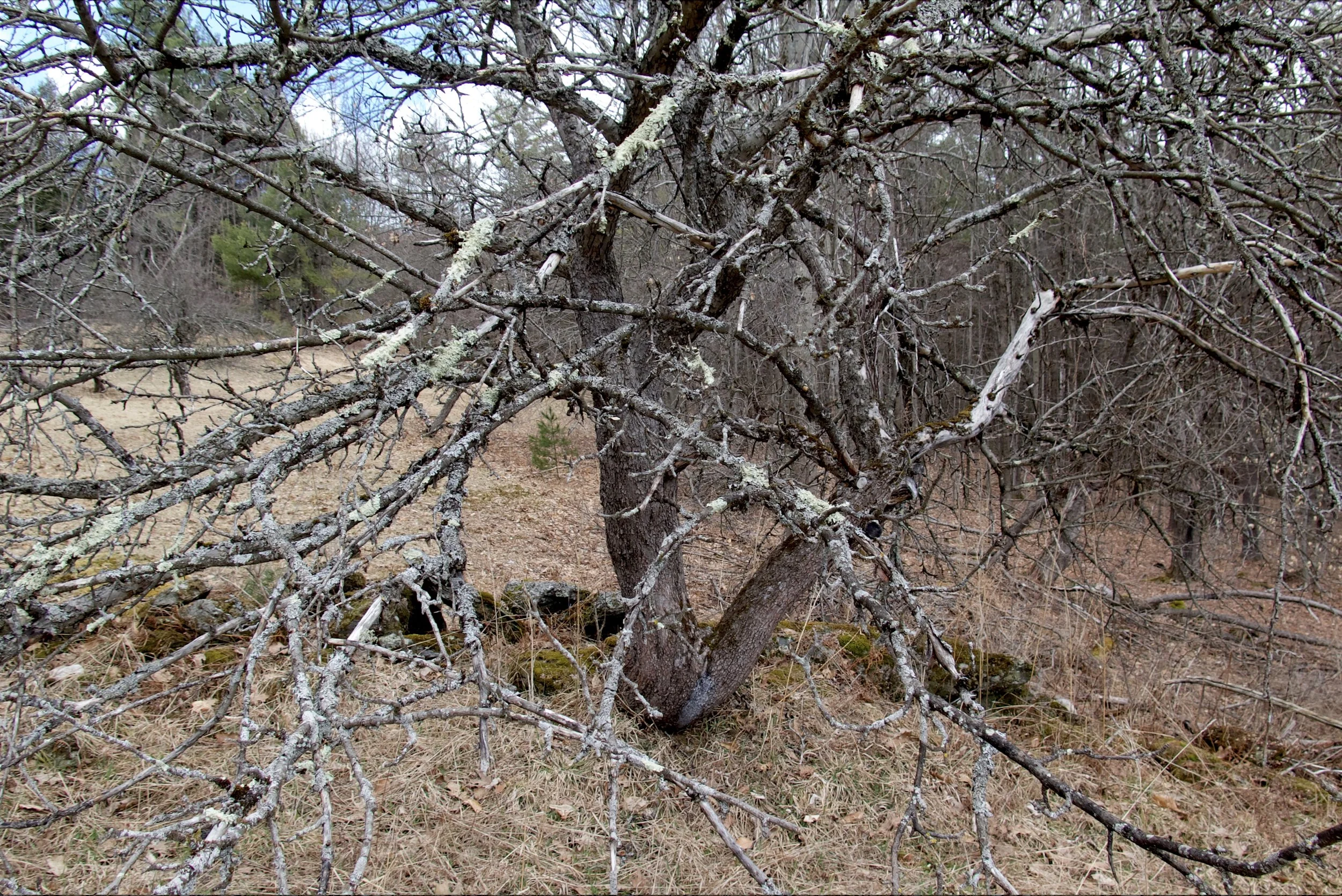 3944 4-11-26 copy.jpg