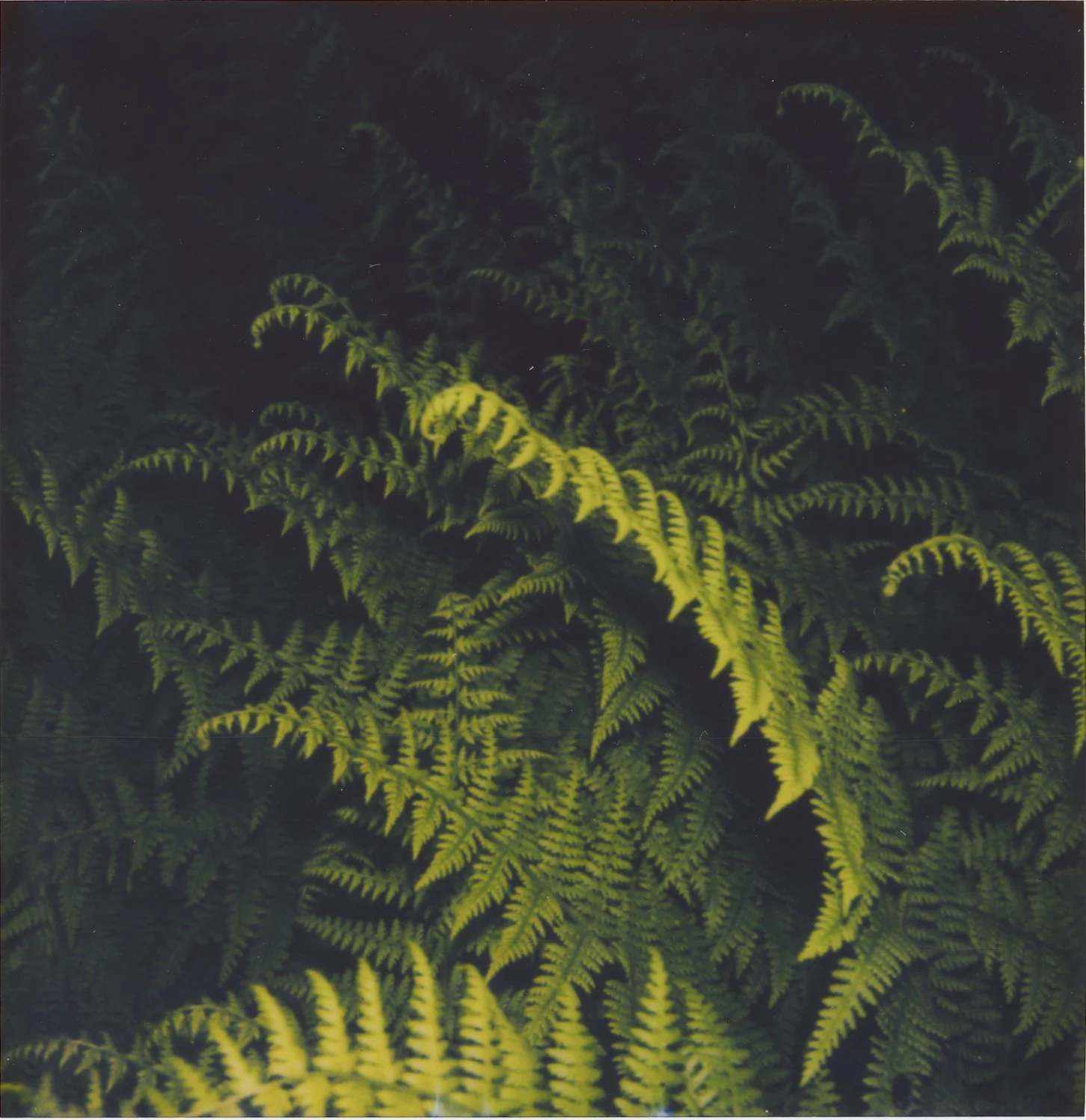Untitled12.jpg