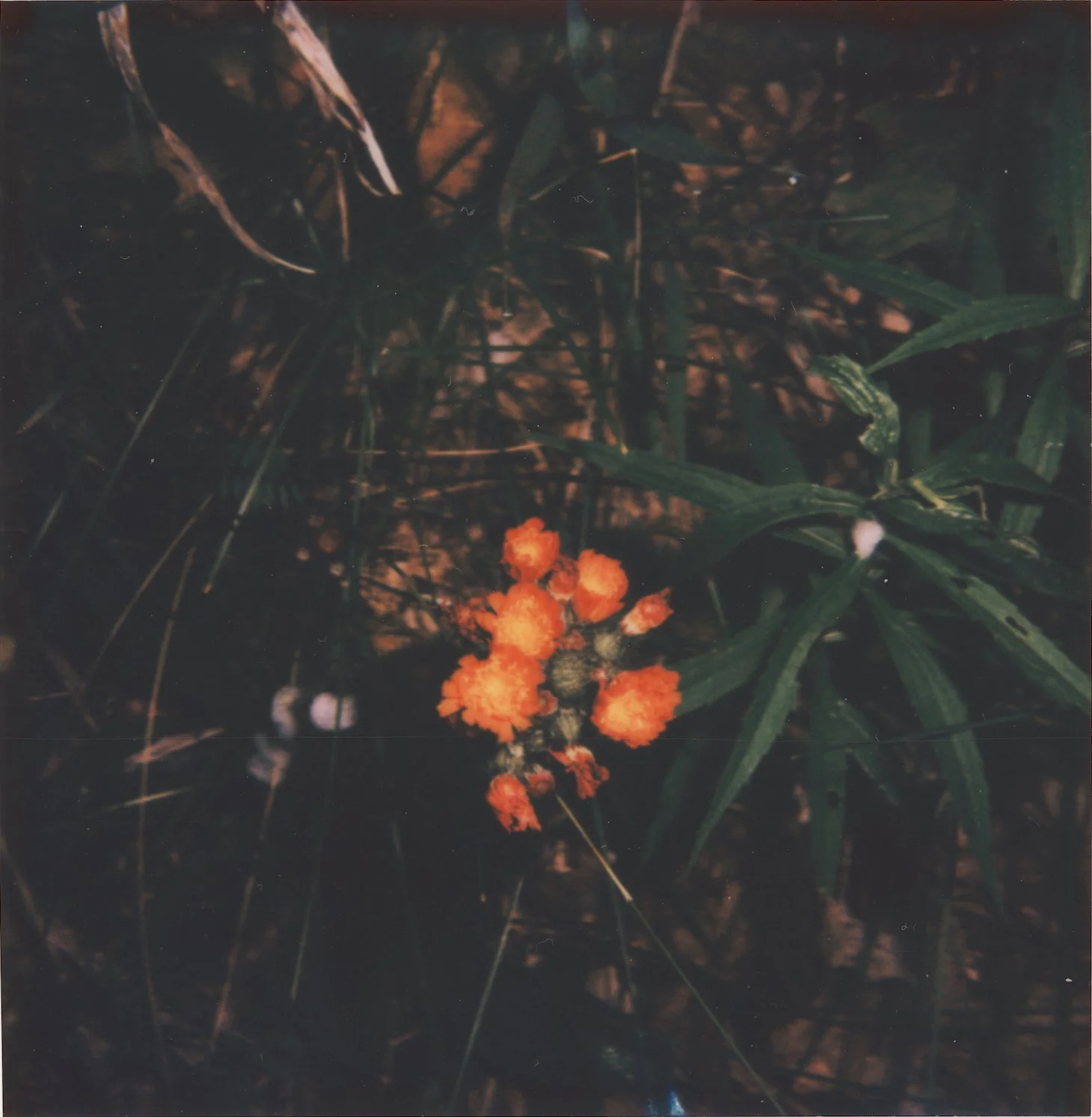 Untitled13.jpg