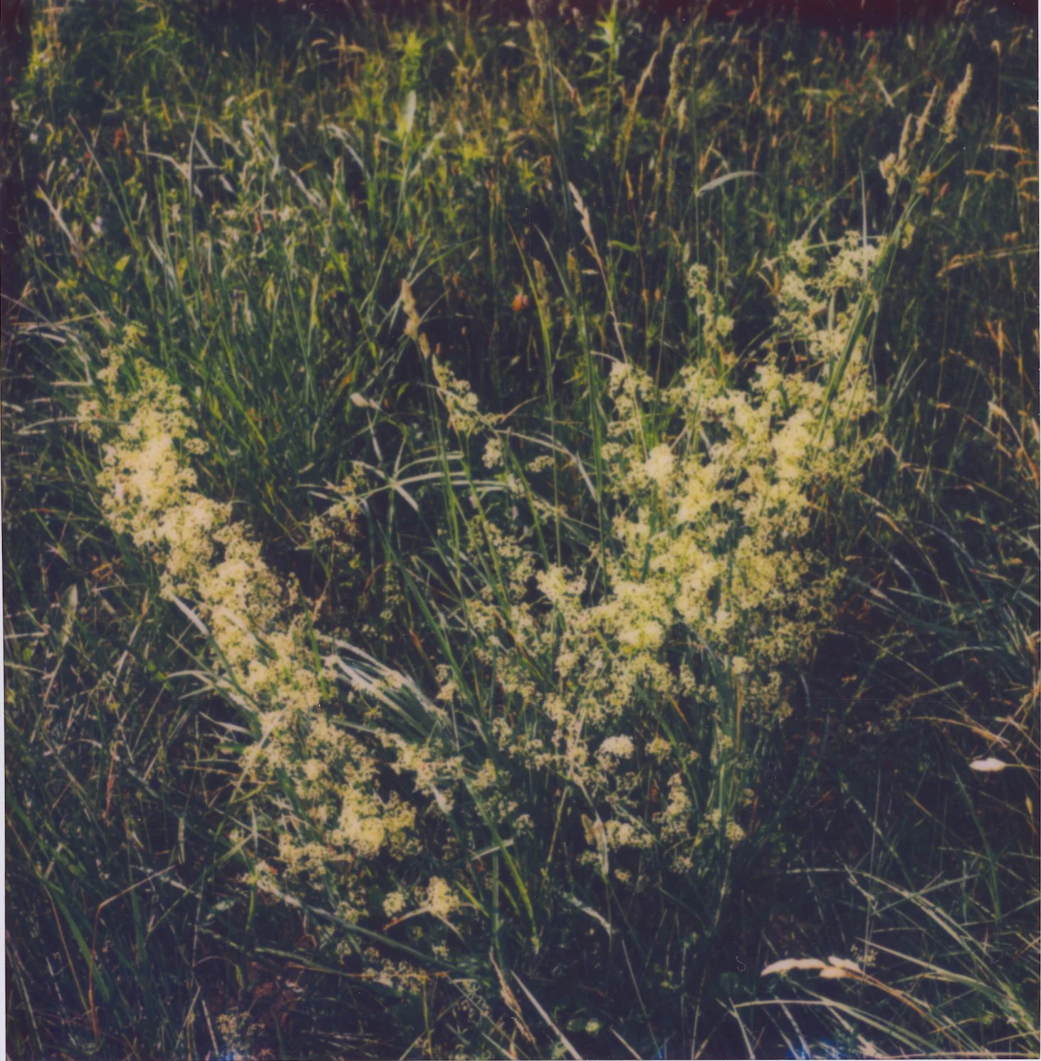 Untitled15.jpg