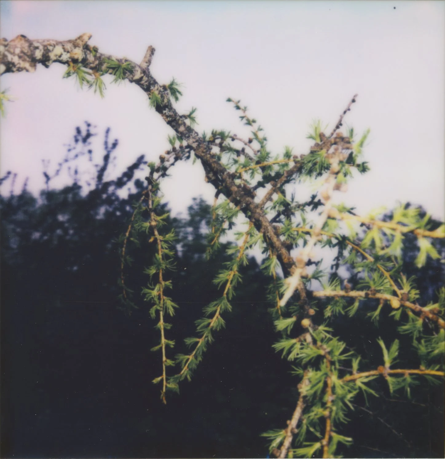Untitled18.jpg