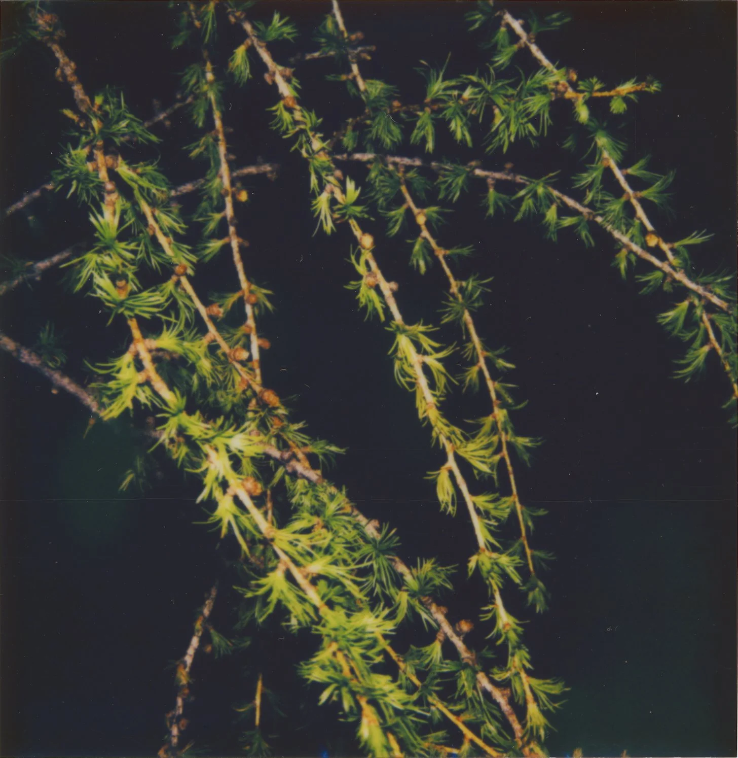 Untitled21.jpg