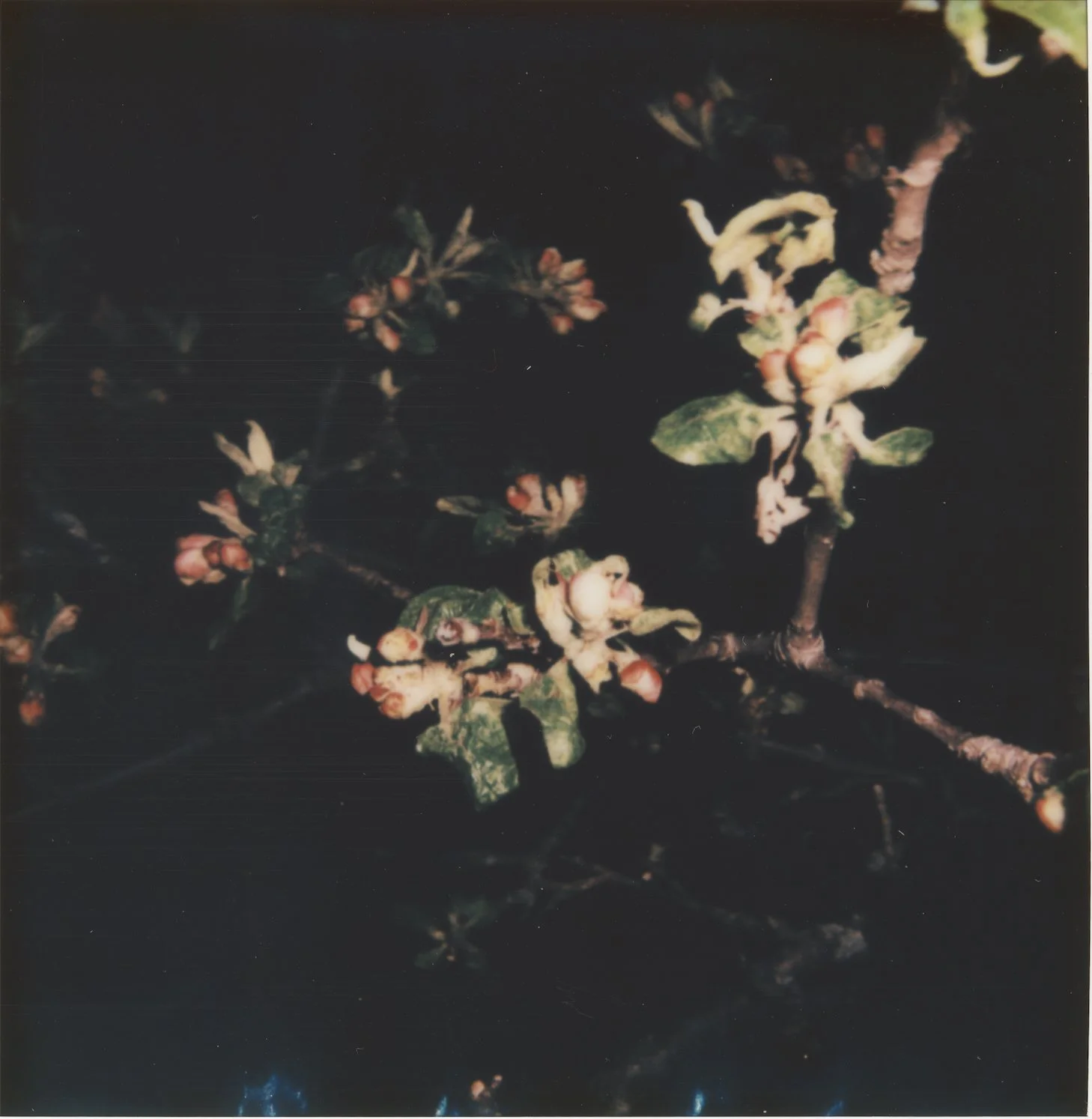 Untitled7.jpg