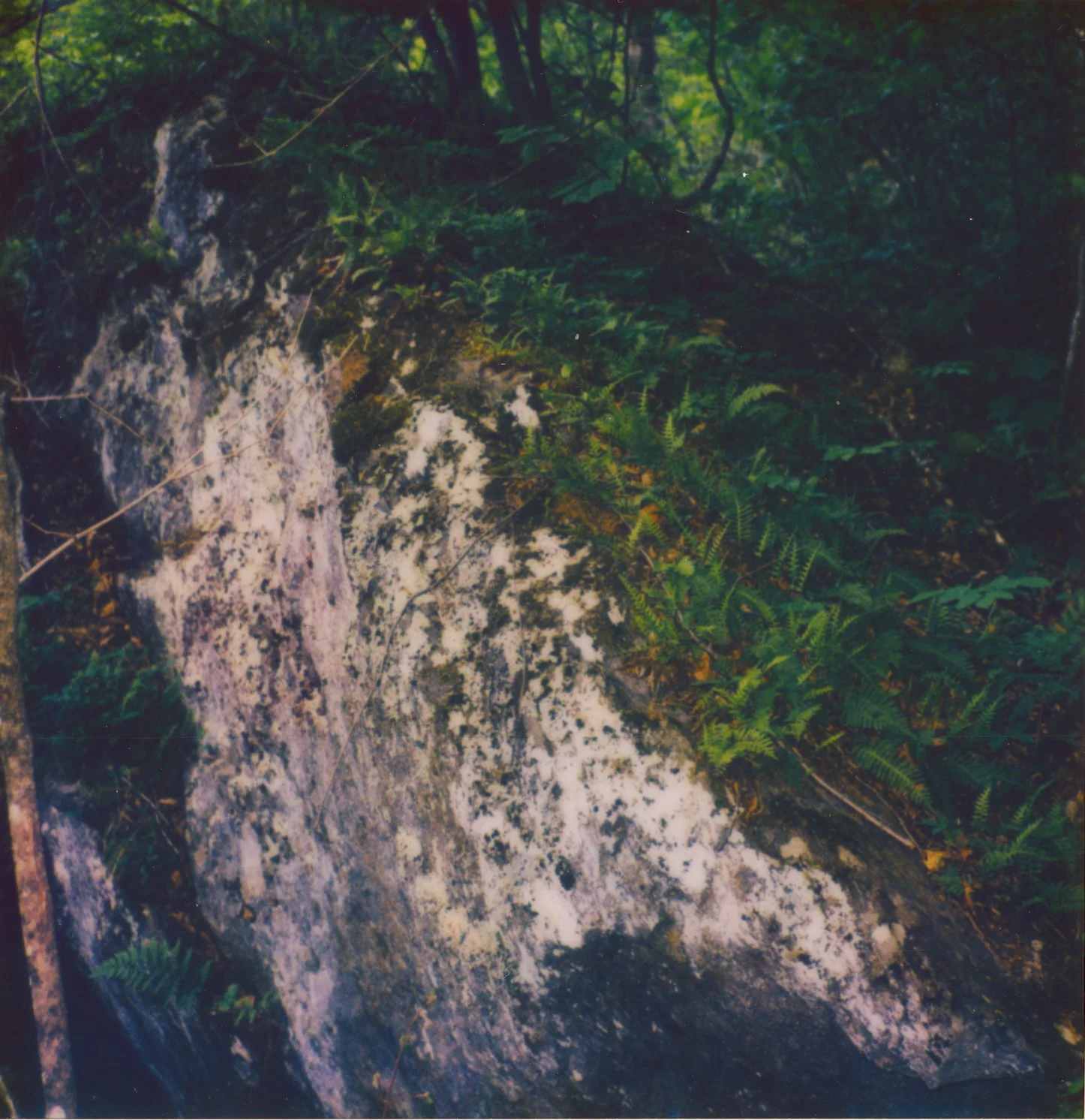Untitled2.jpg