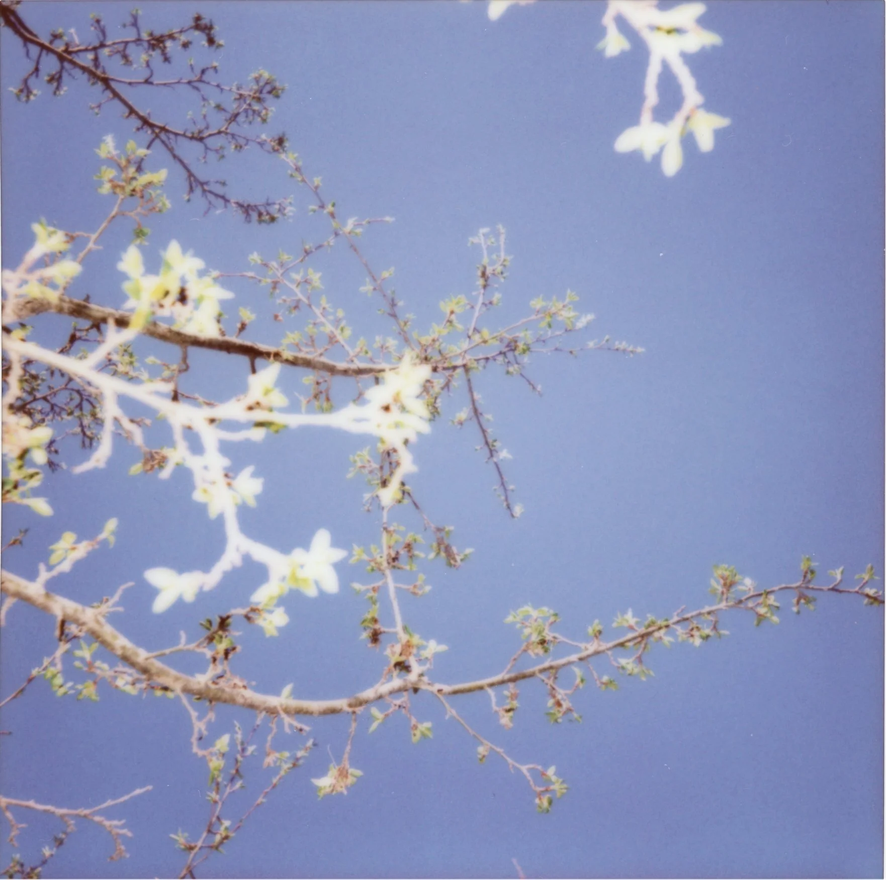 Untitled27.jpg