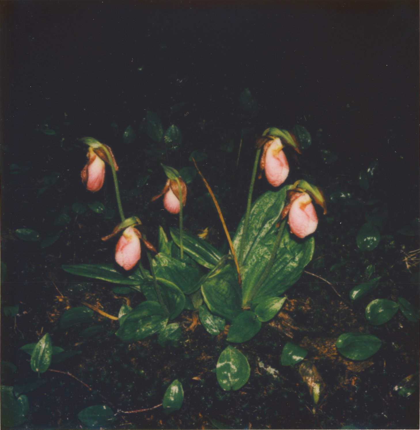 Untitled10.jpg