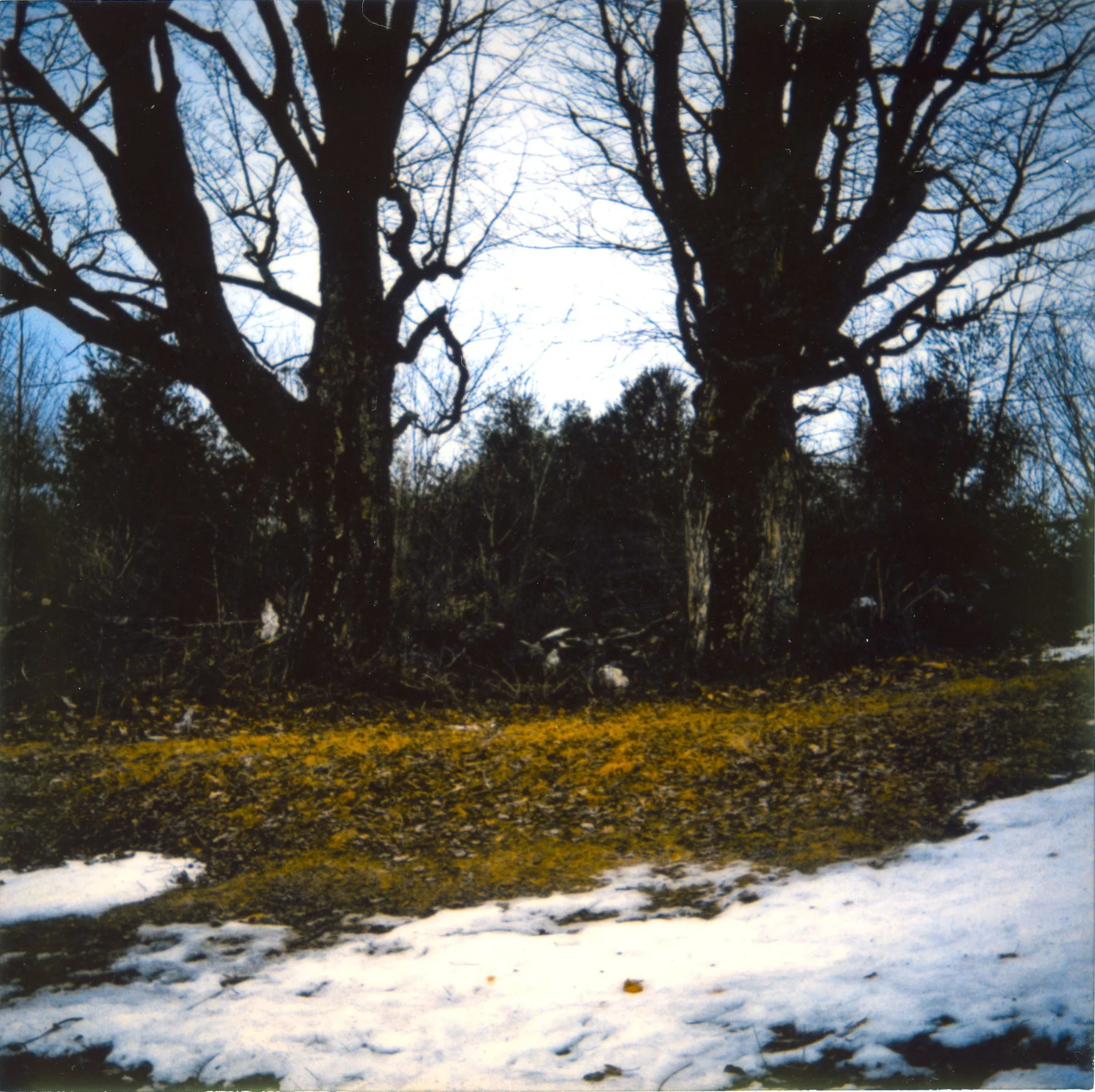 Robert Longstreth, Untitled Works, c. 2026