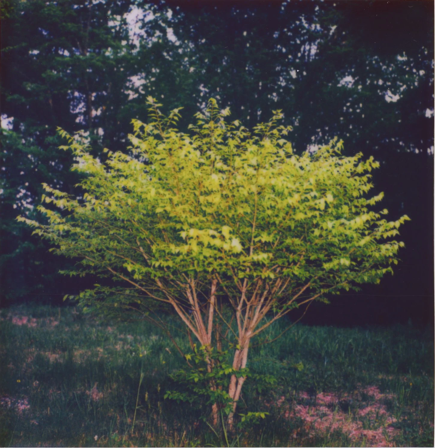 Untitled9.jpg