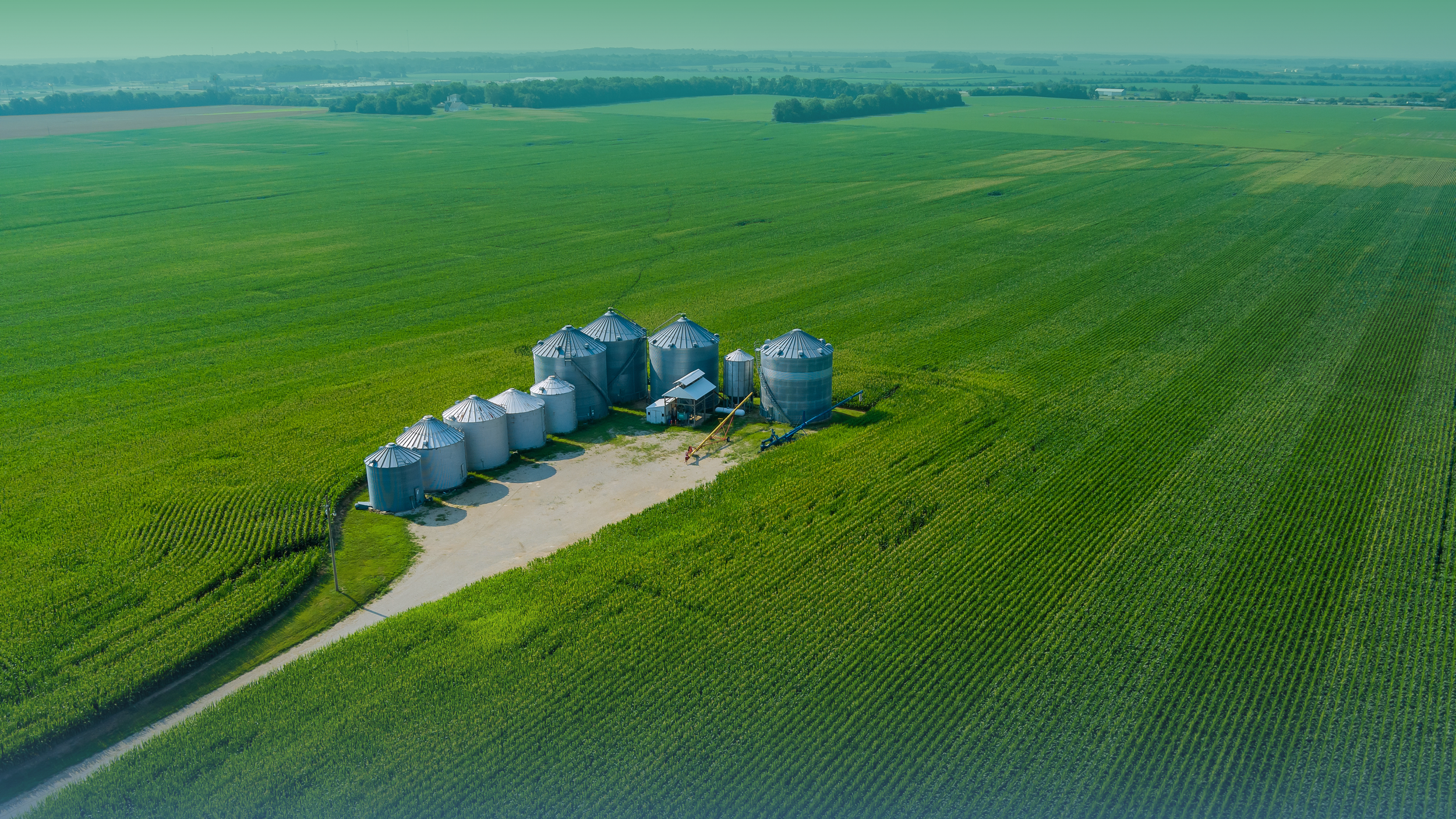 What Five Decades of Bioeconomy Deployments Actually Tell Us