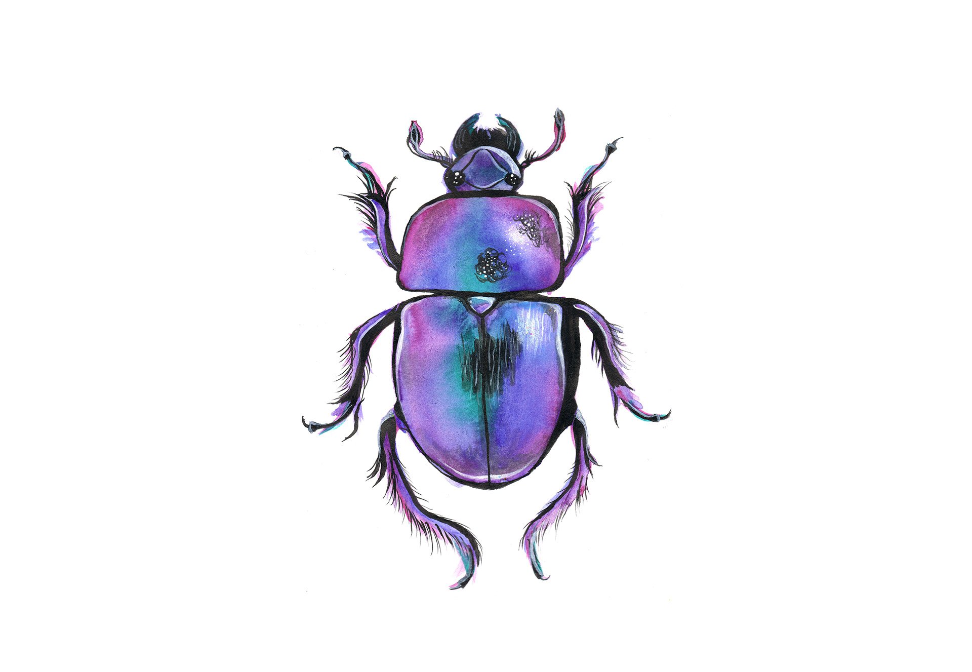 Beetle · watercolor & mixed media on paper