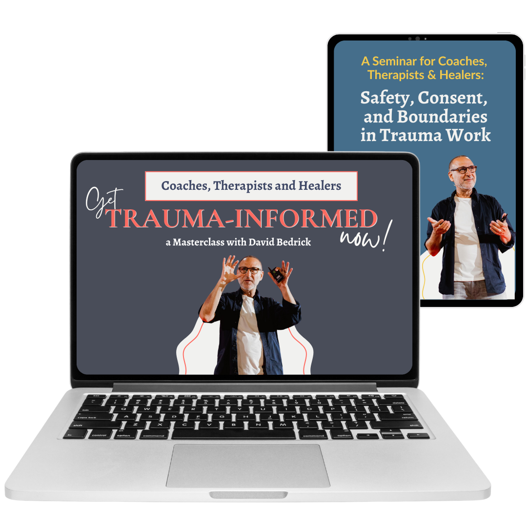 The Trauma Work Bundle — DAVID BEDRICK