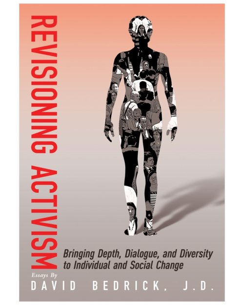 Book cover: Revisioning Activism by David Bedrick — Bringing Depth, Dialogue, and Diversity to Individual and Social Change
