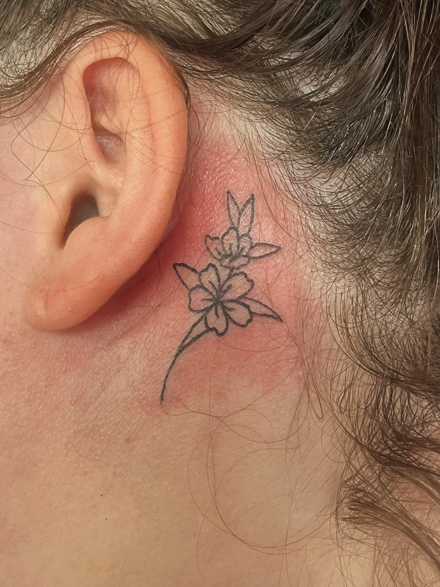 ollie__tattoos_3701217415431372989_37305166322_2025-08-17.jpg