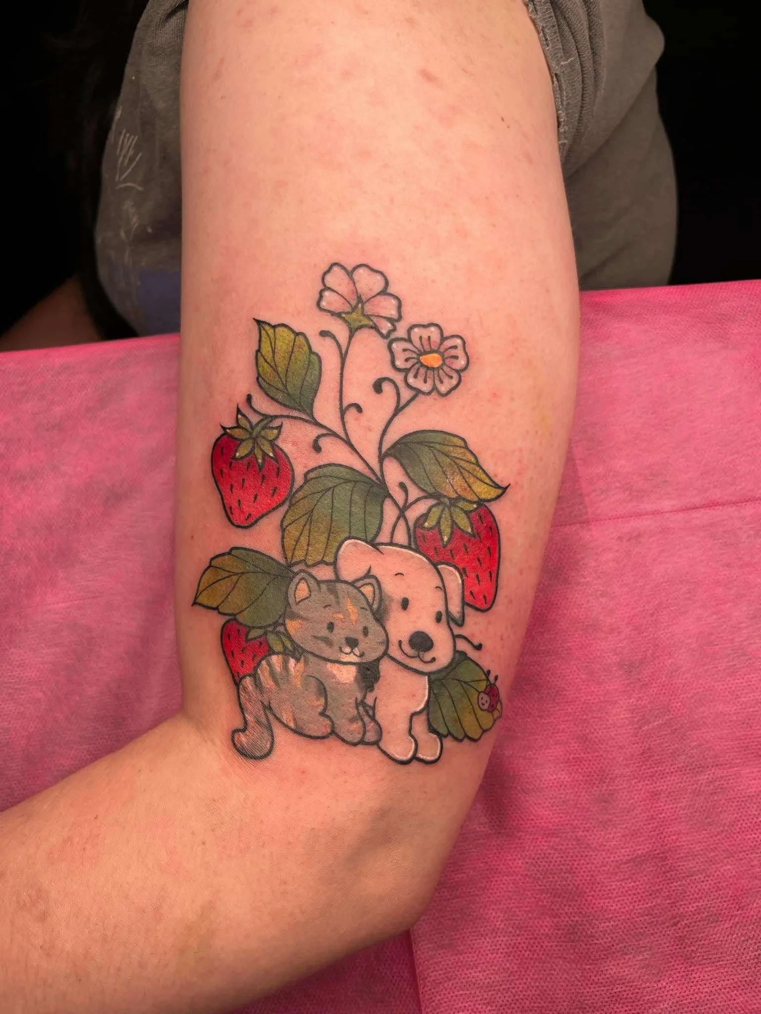 2b462267-7d6b-441a-abdc-0ae7cb671d87.jfif