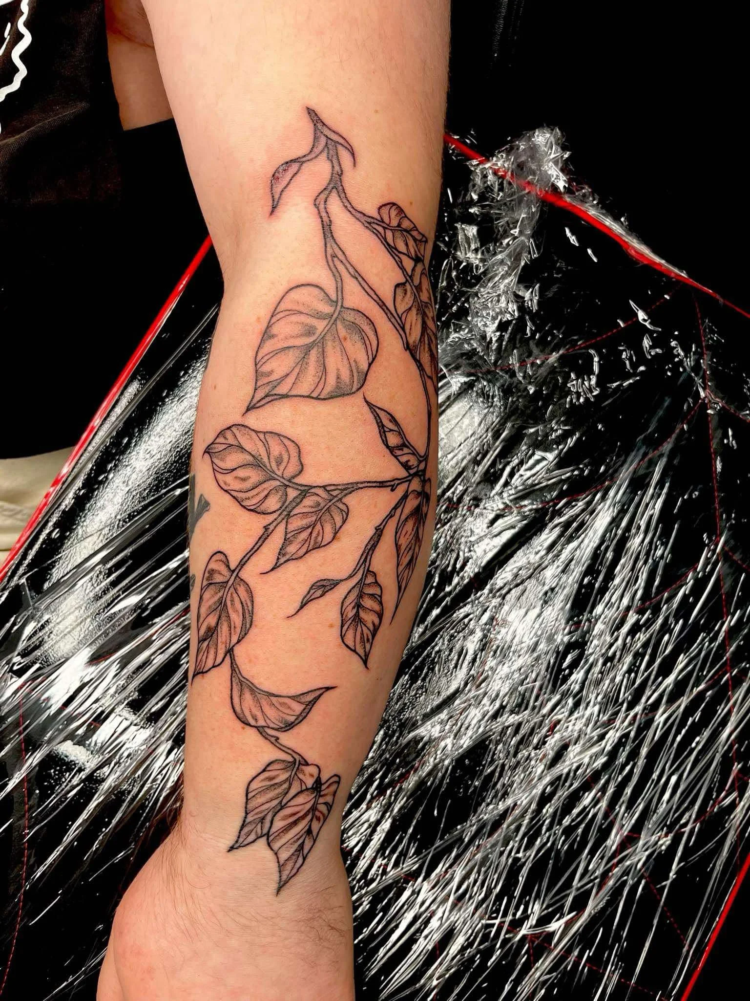 234c13f8-09fb-4b65-bd16-3965209de465.jfif