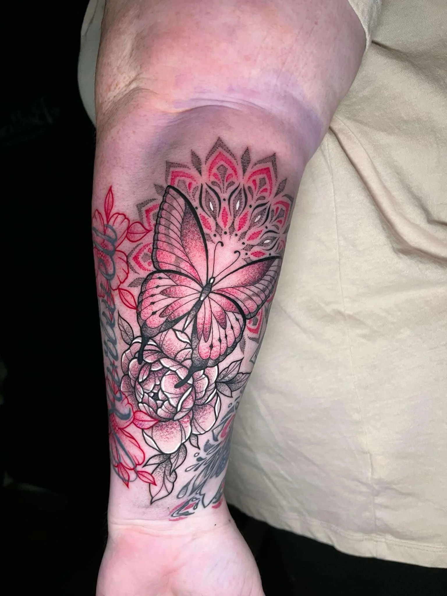 30a72c4b-d297-4f55-82f9-4d489e3c0e02.jfif