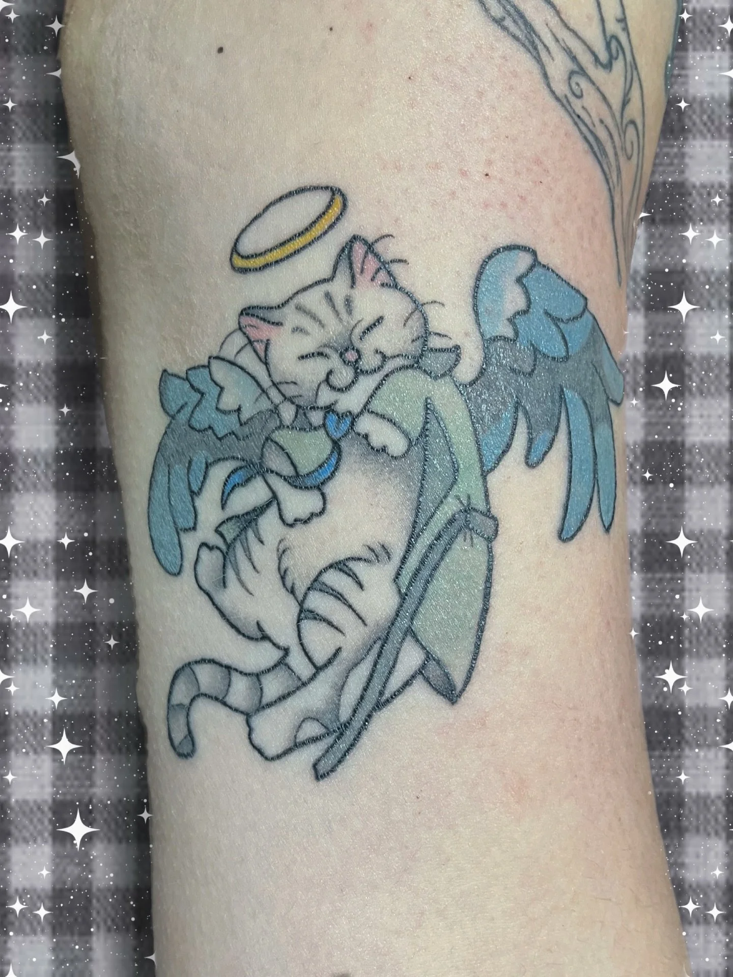 ollie__tattoos_3659550384315576346_37305166322_2025-06-20.jpg