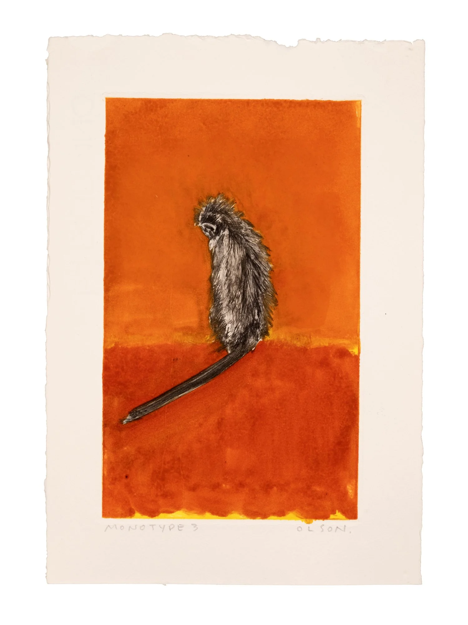 The Solo Monkey (Monotype 3)