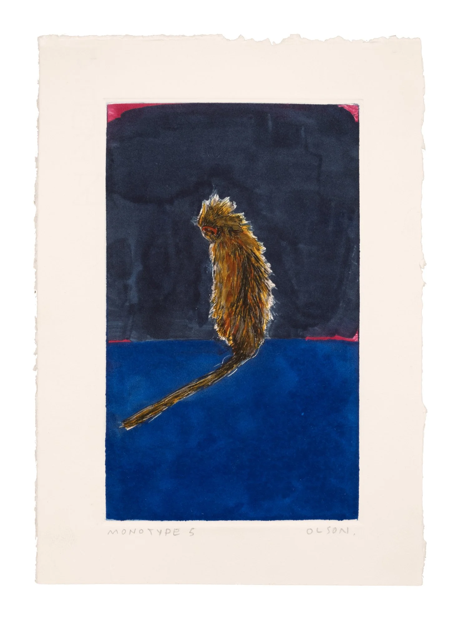 TheSoloMonkeyMonotype5ErikOlson.jpg