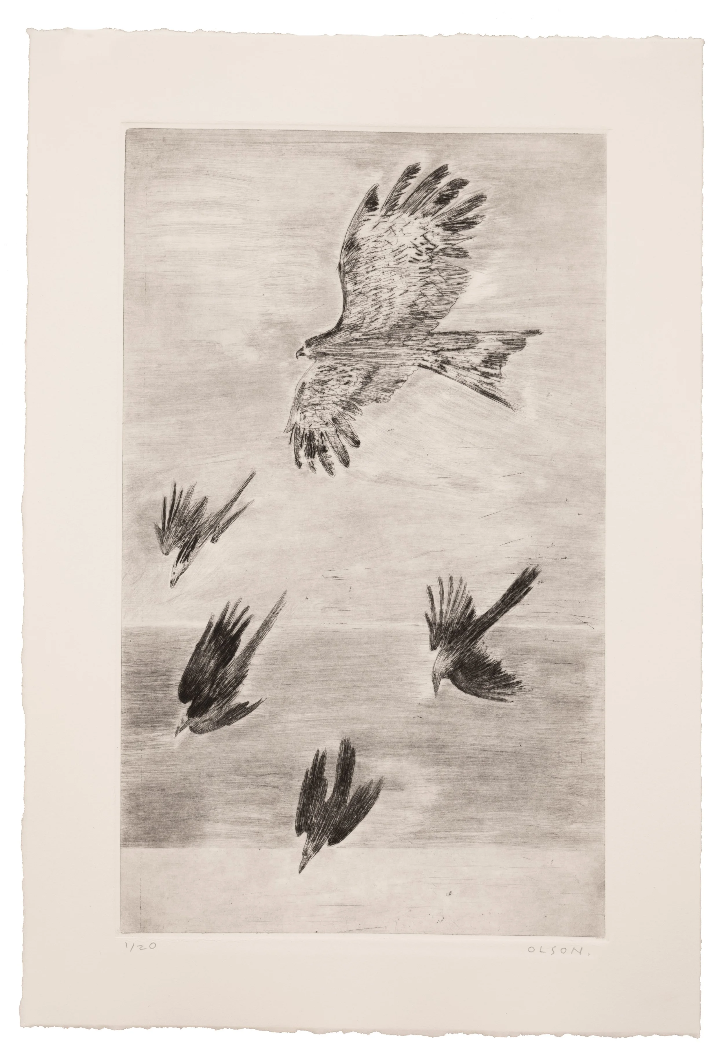 TheBlackKiteEditionErikOlson.jpg