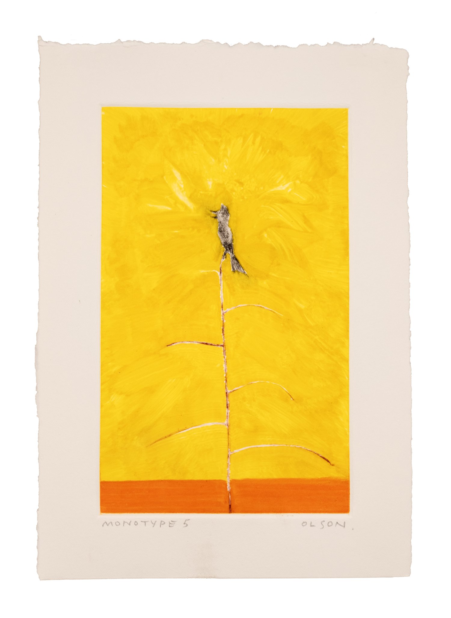TheAwaazMonotype5ErikOlson.jpg