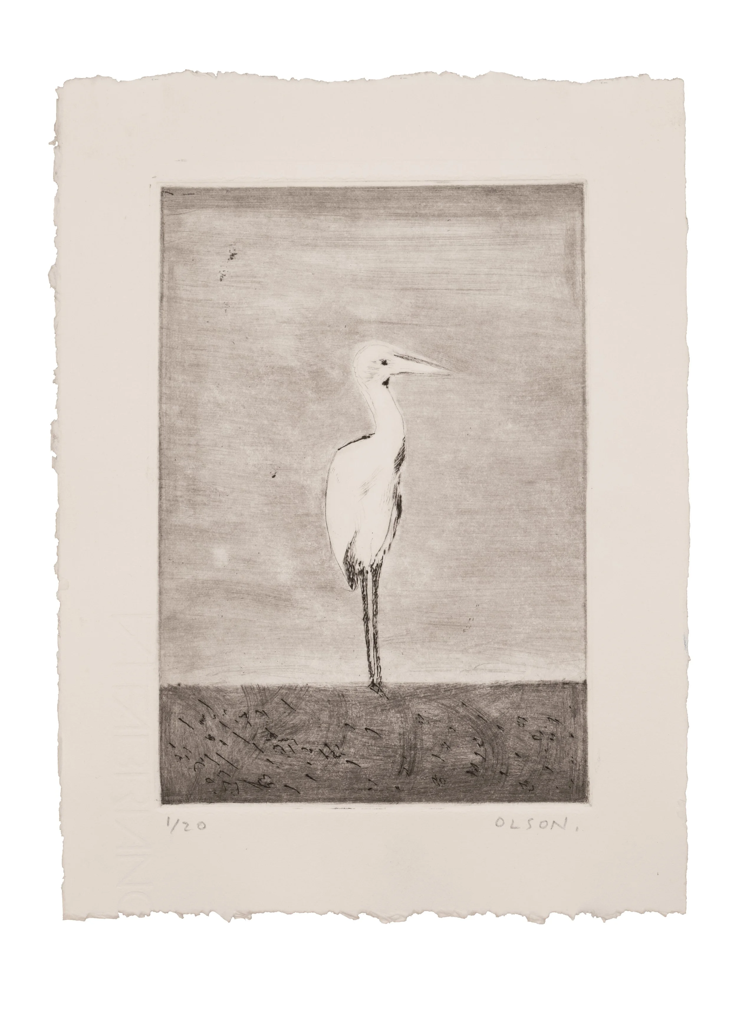 TheCraneEditionErikOlson.jpg