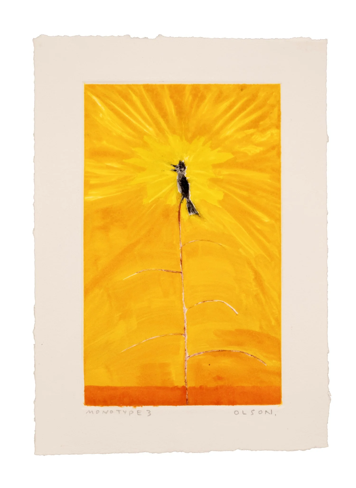 TheAwaazMonotype3ErikOlson.jpg