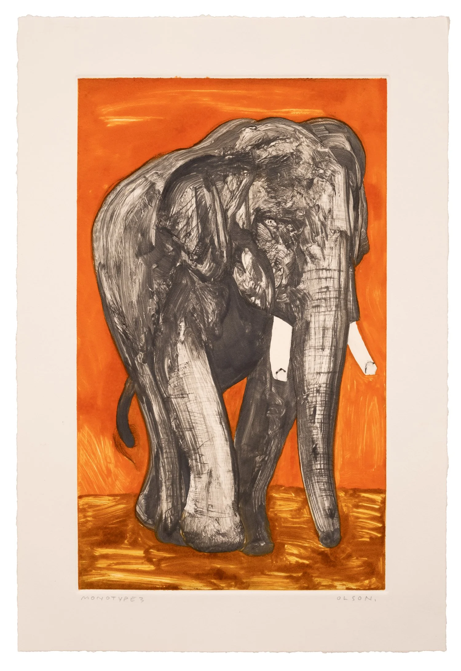 The Elephant (Monotype 3)