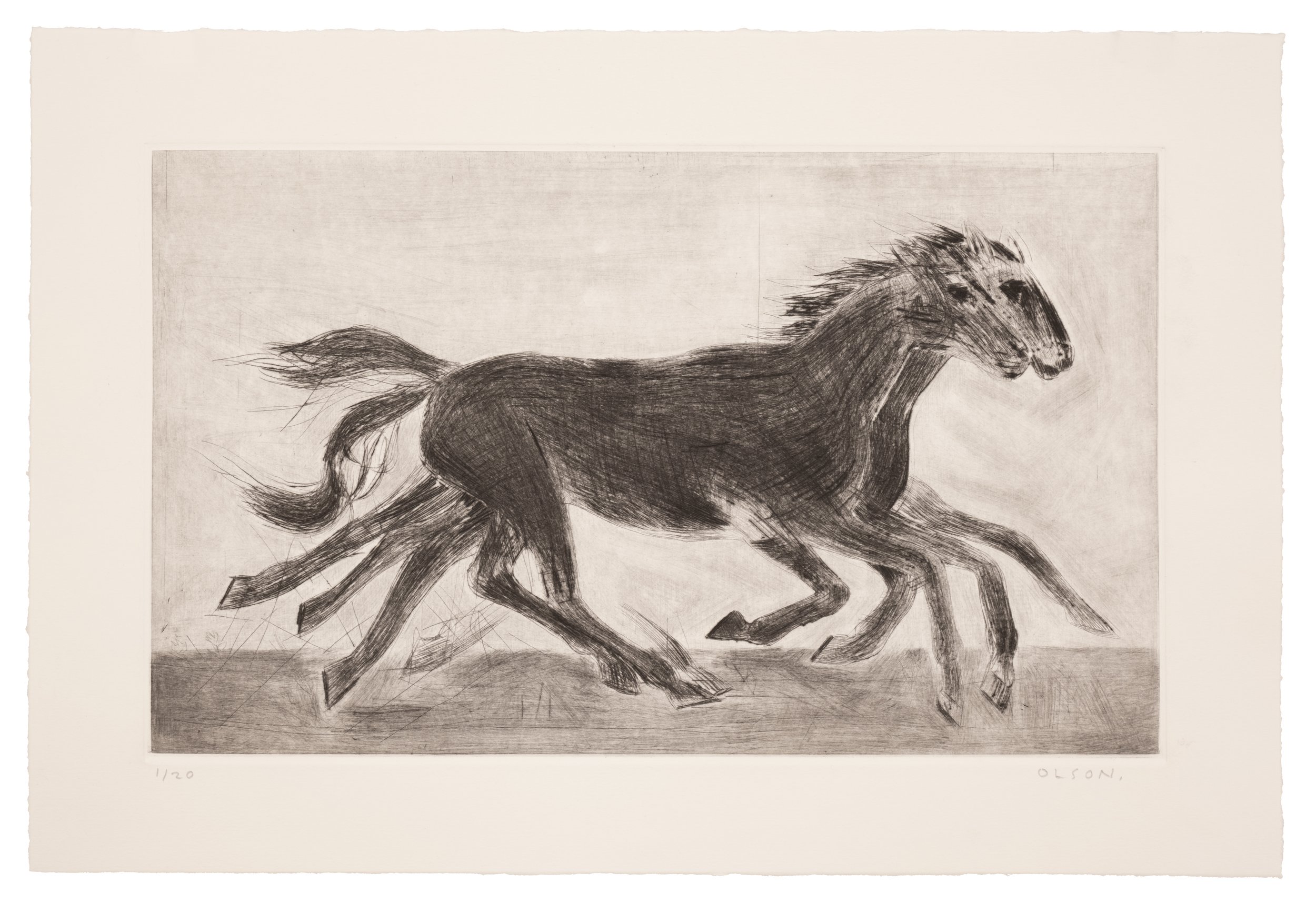 TheHorseEditionErikOlson.jpg