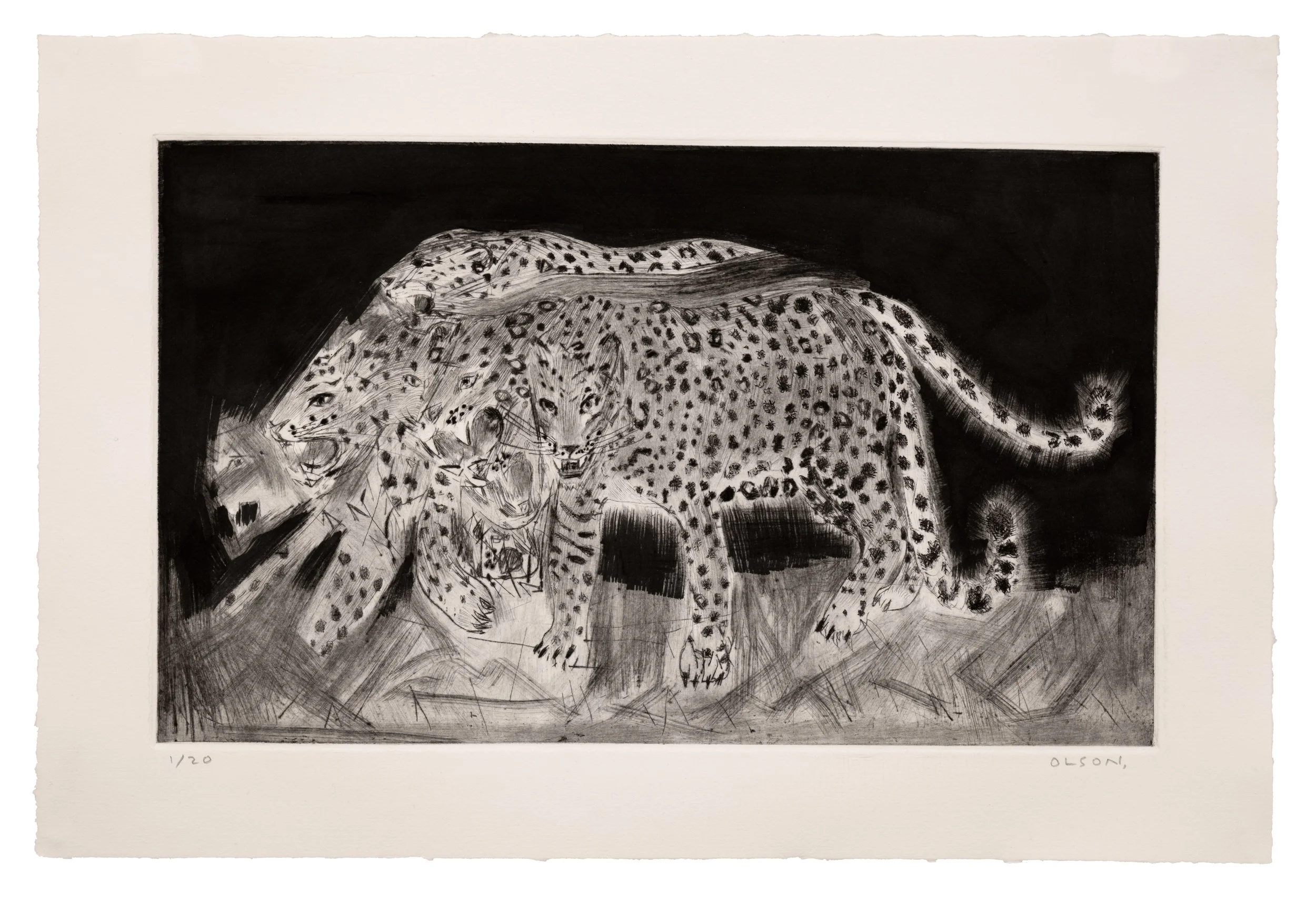 TheLeopardEditionErikOlson.jpg
