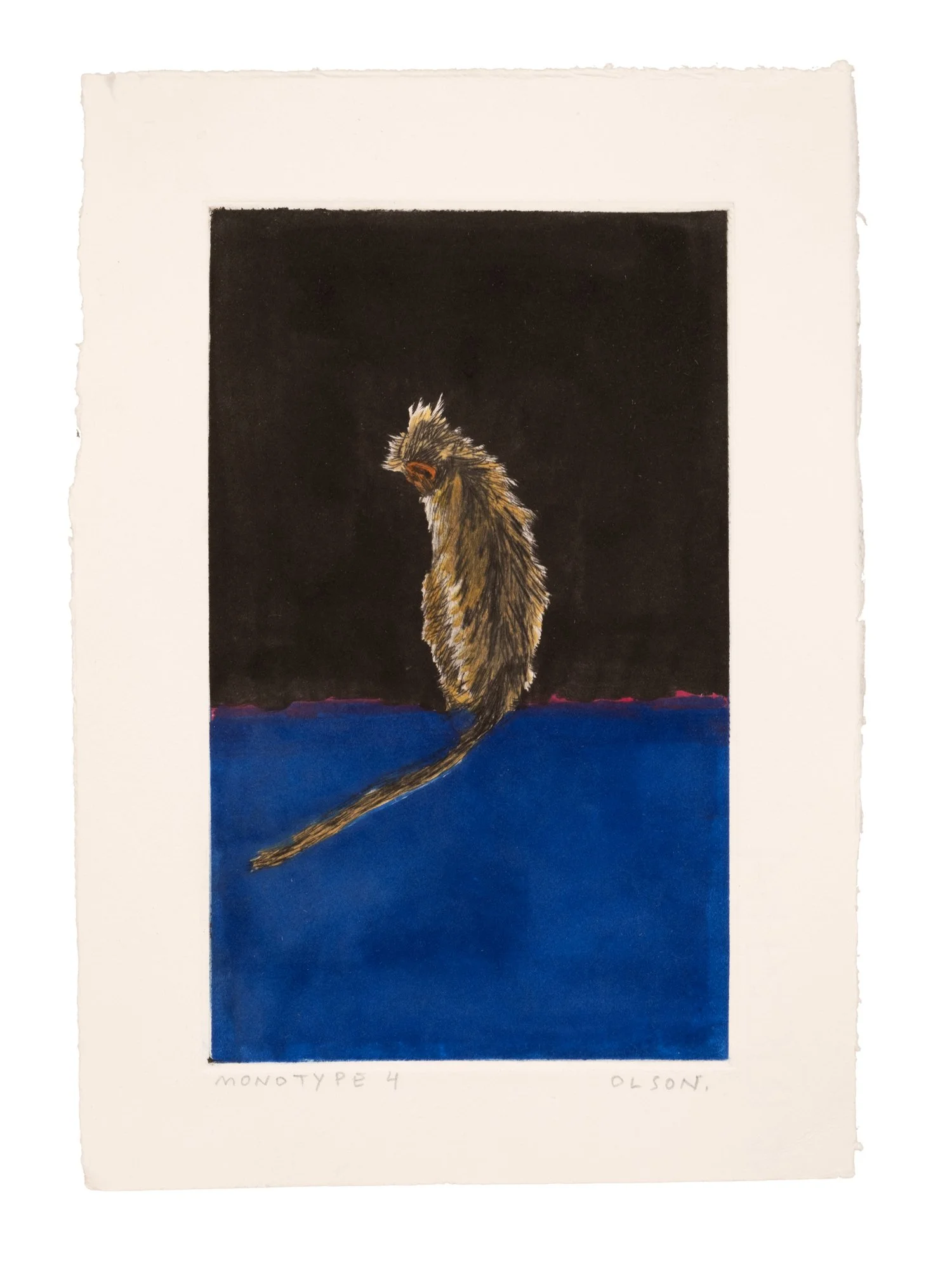 TheSoloMonkeyMonotype4ErikOlson.jpg