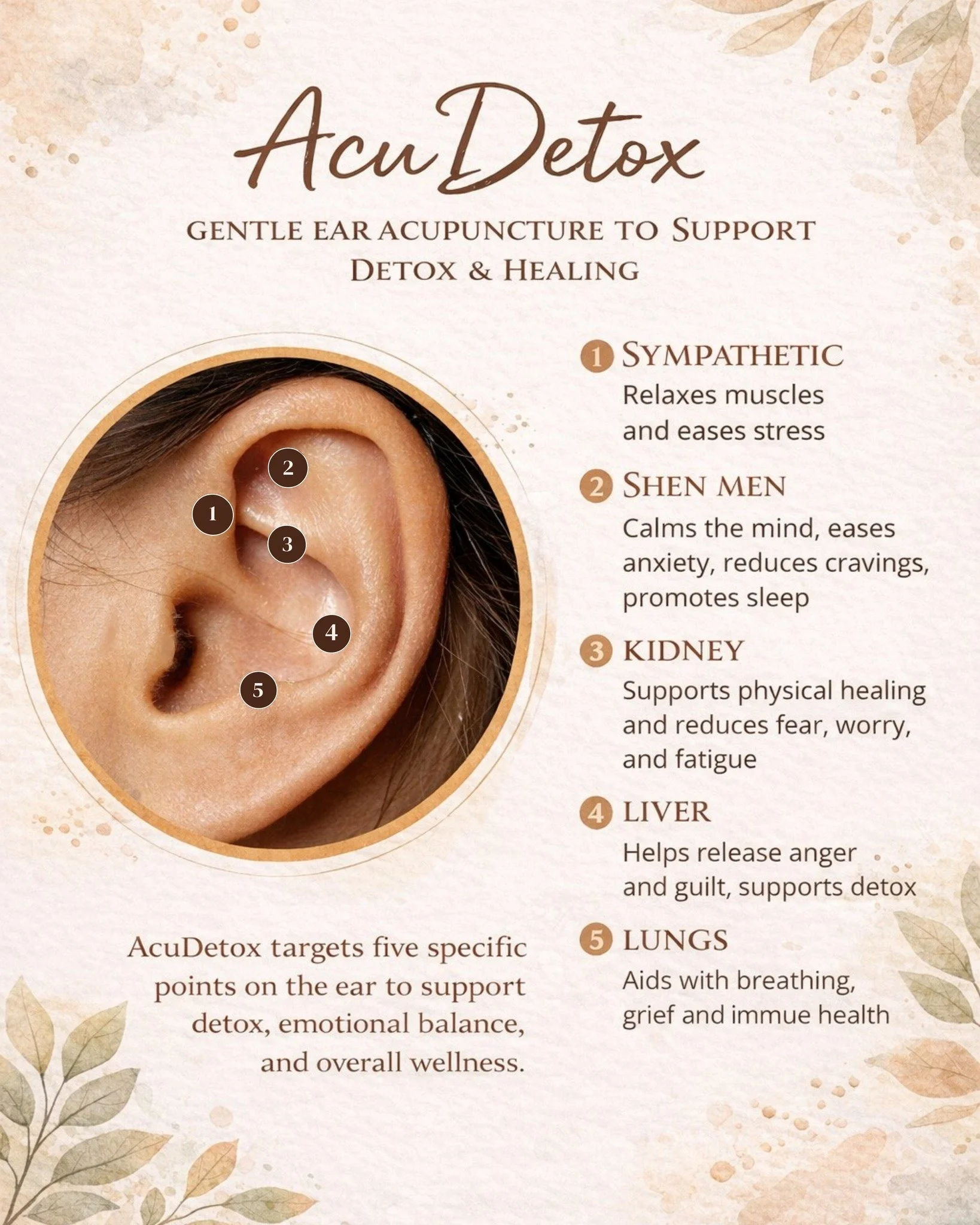 Ear acupuncture is now available at our office with our specialist, Kayla! It&rsquo;s a quiet, low-impact way to support your nervous system and create a little more space to settle. 💛

You can book an individual session, or come in with a small gro