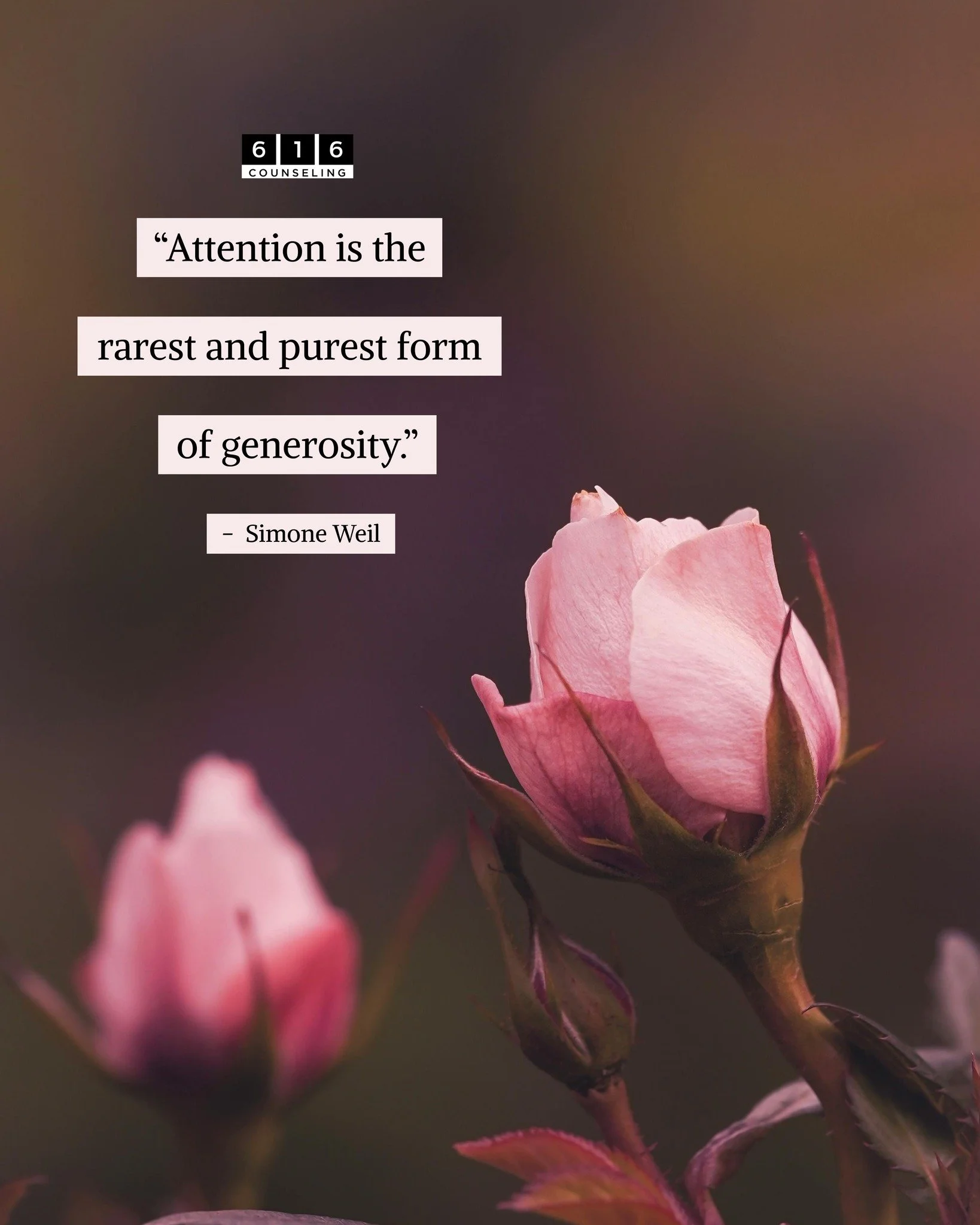 What are you giving your attention to this week?