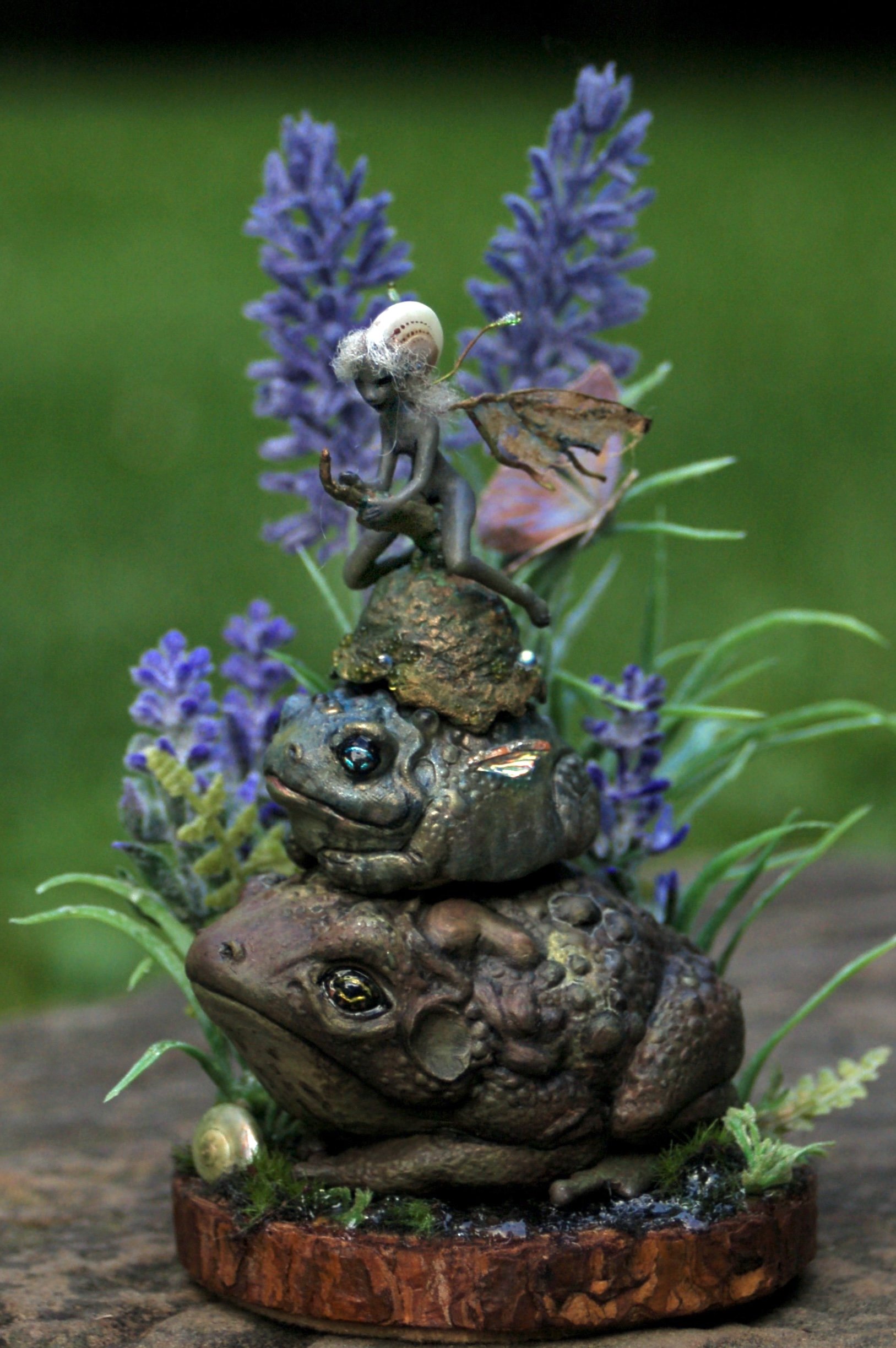 Toad Dreams