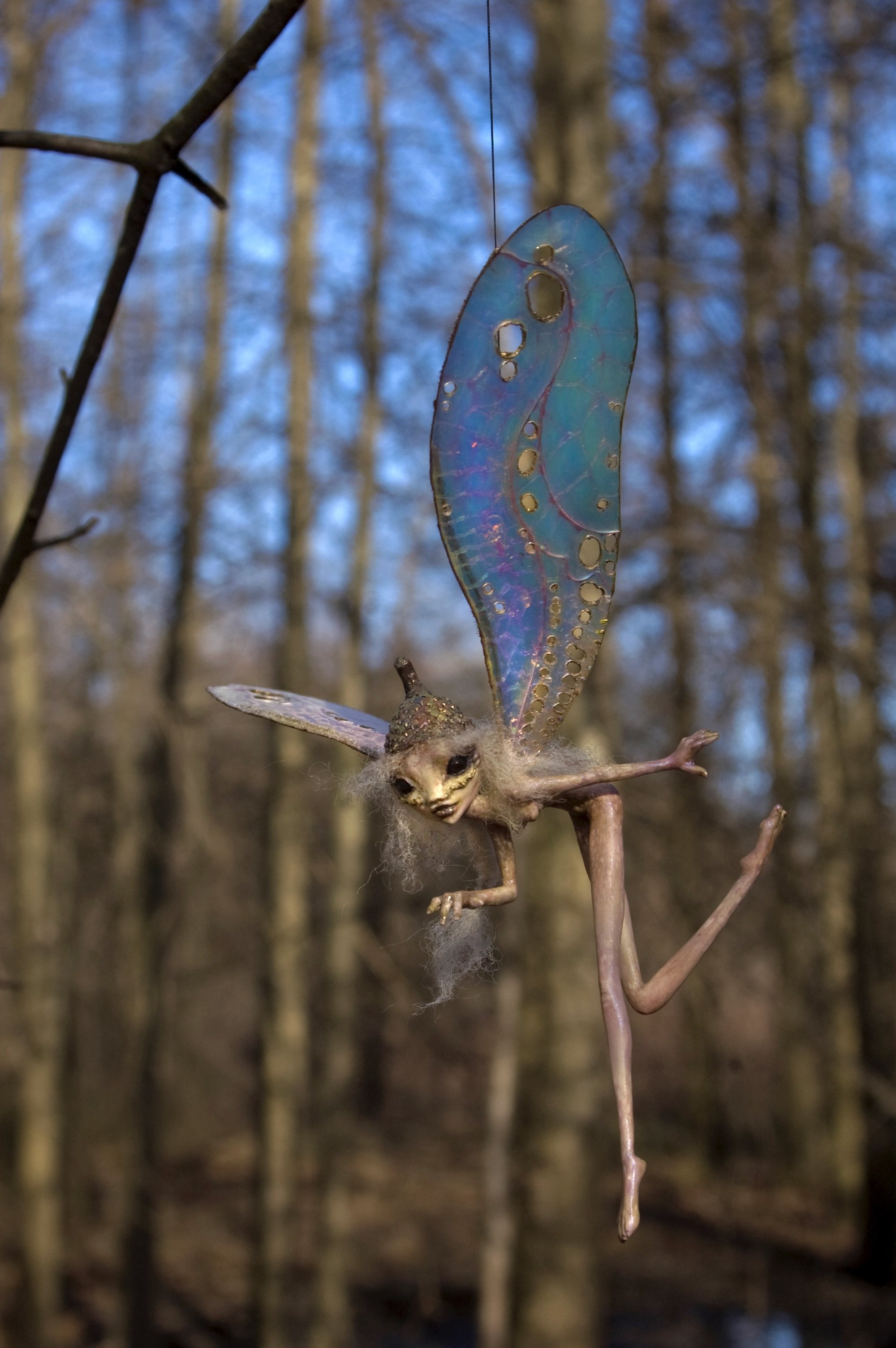 lacewing pixie 2.jpeg