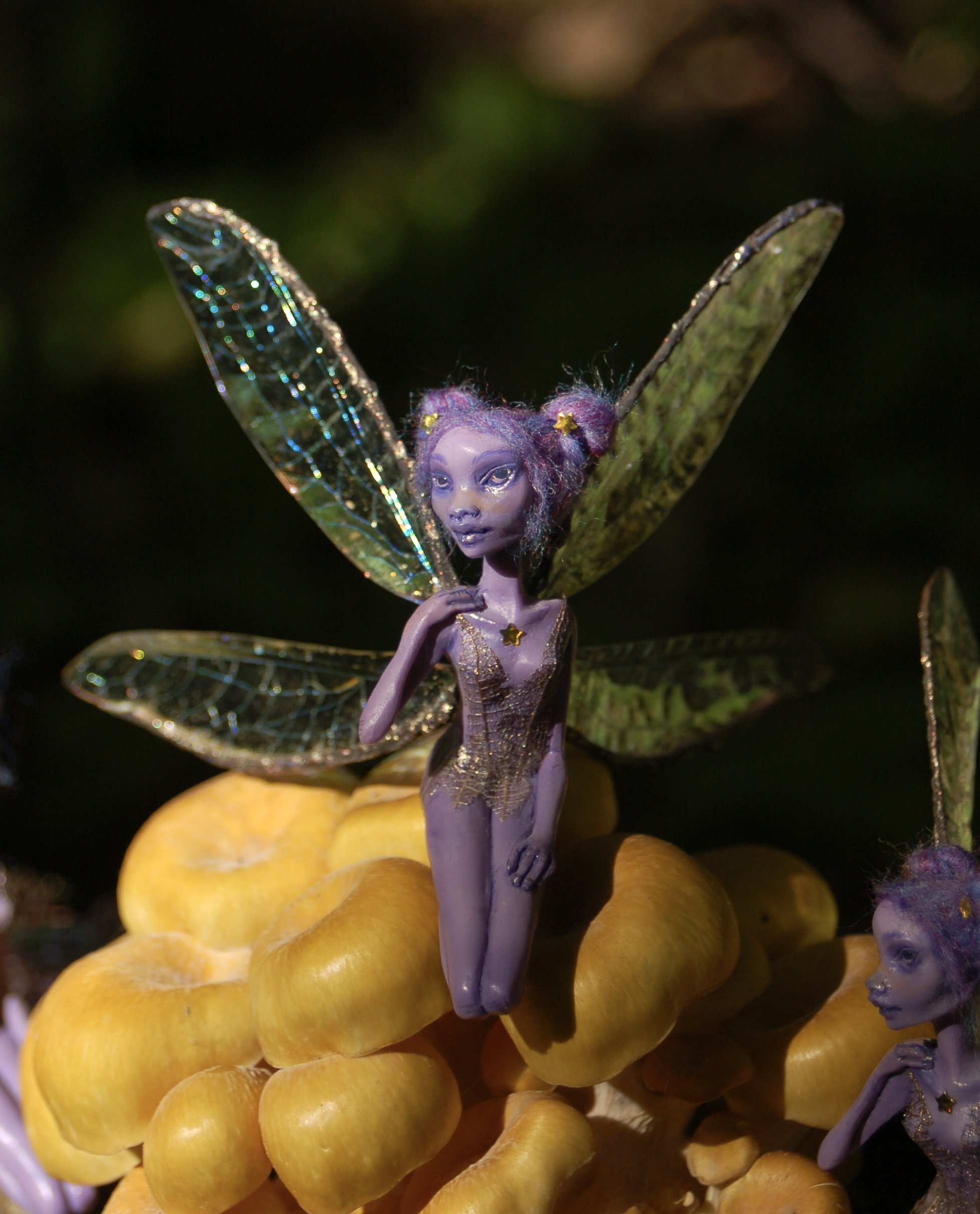 DSC_2451.jpeg