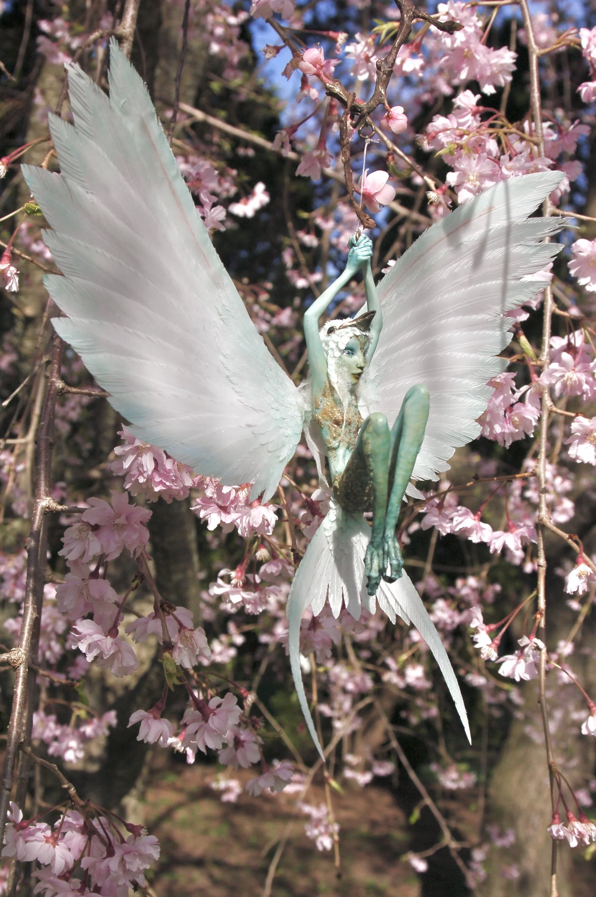 DSC_2431.jpeg