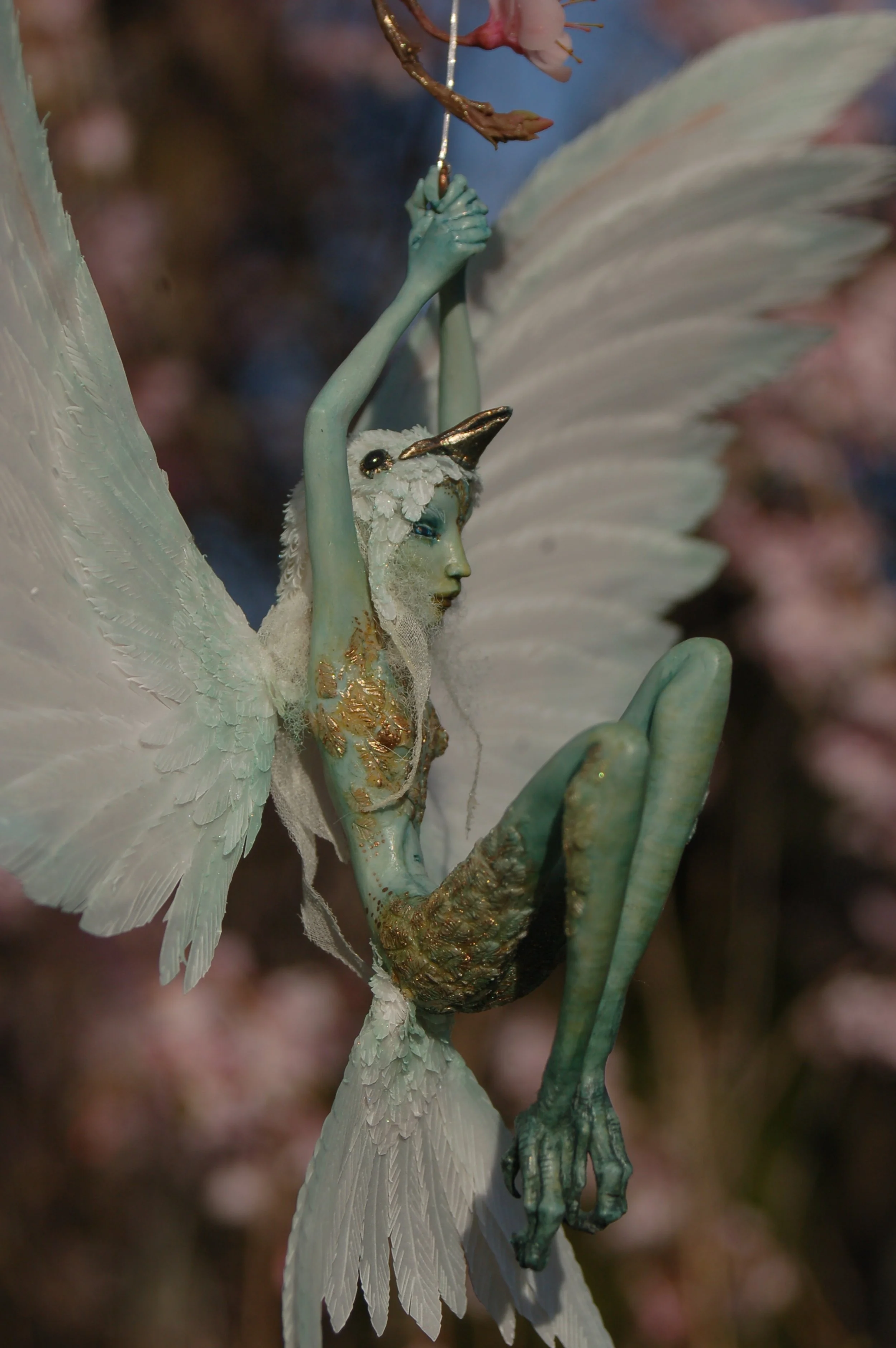 DSC_2424.jpeg